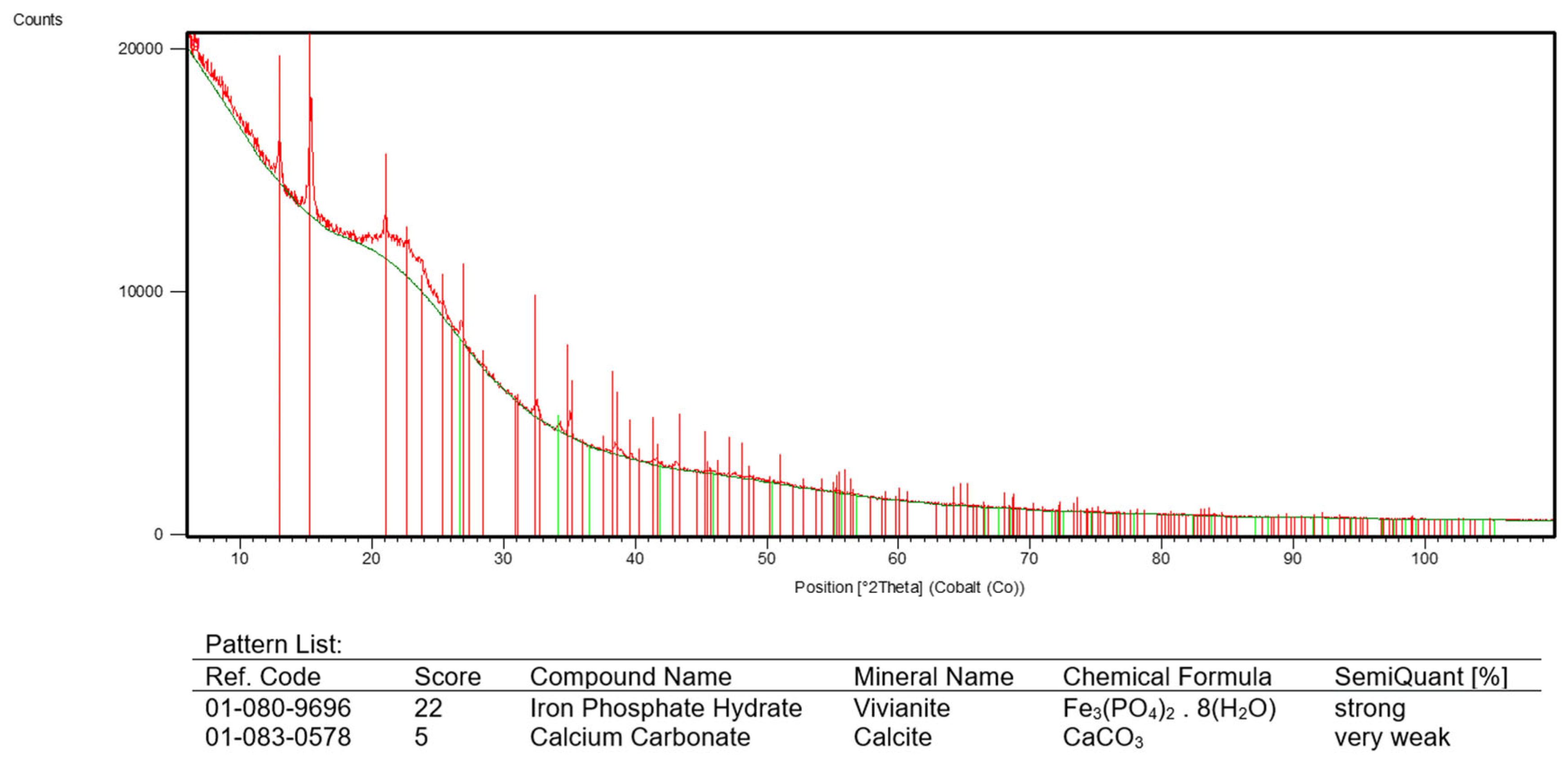Microorganisms 13 00107 g006