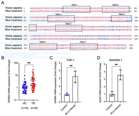 Microorganisms 13 00110 g001