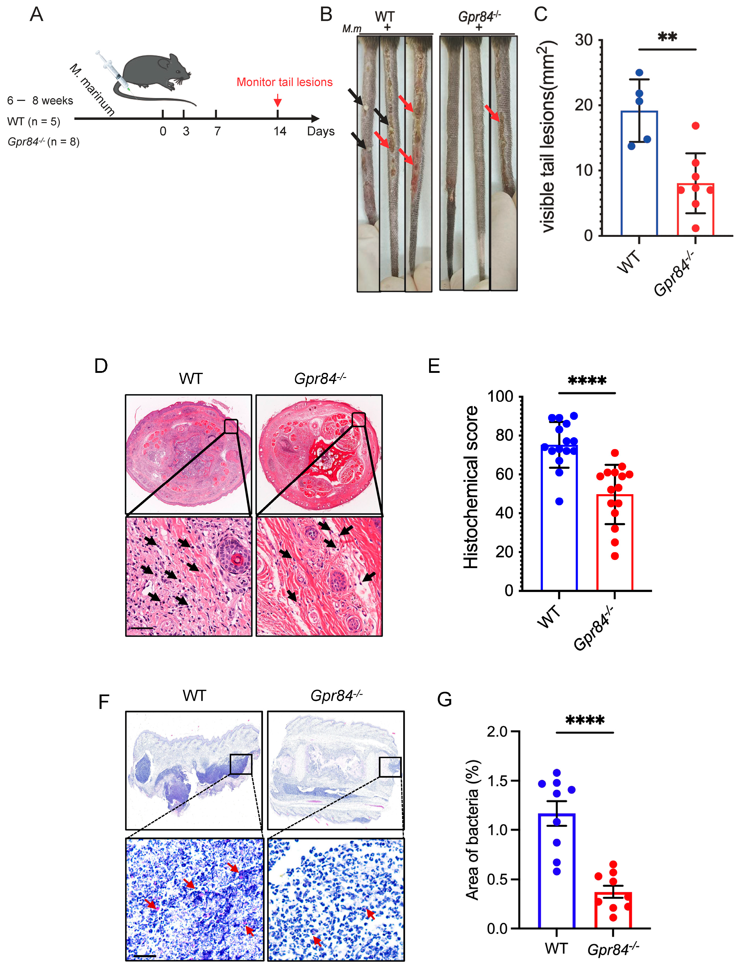 Microorganisms 13 00110 g002