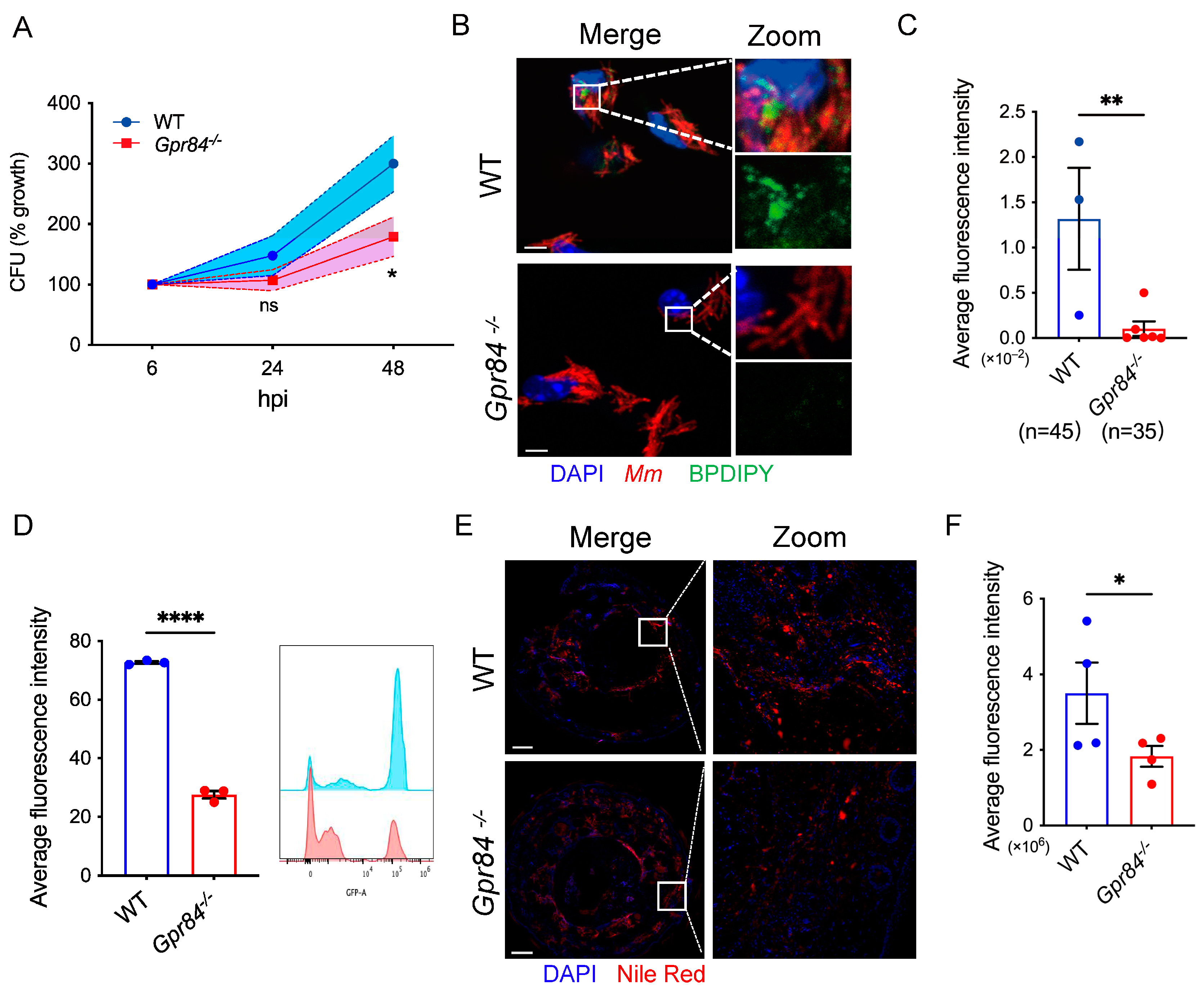 Microorganisms 13 00110 g003