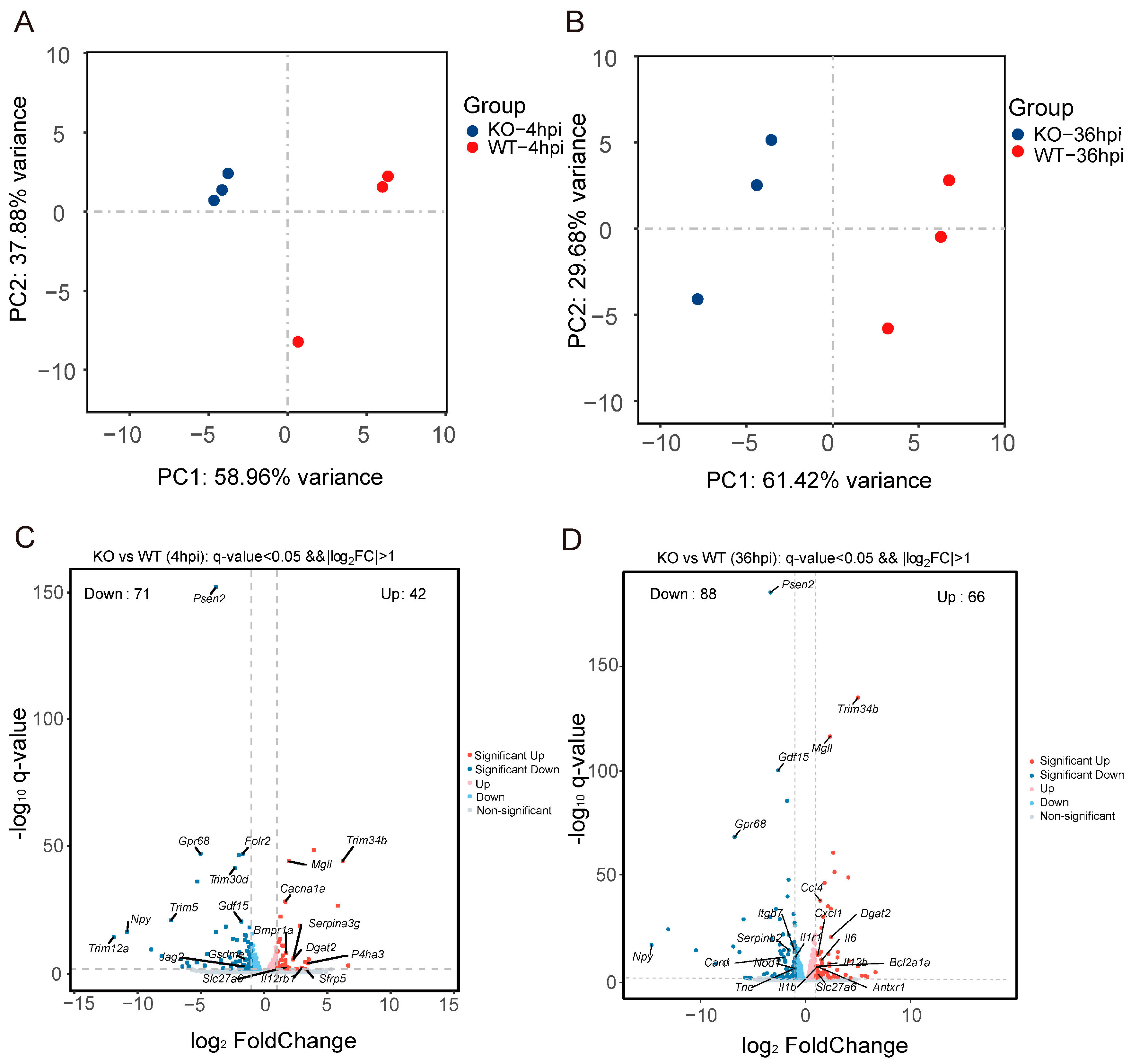 Microorganisms 13 00110 g004a
