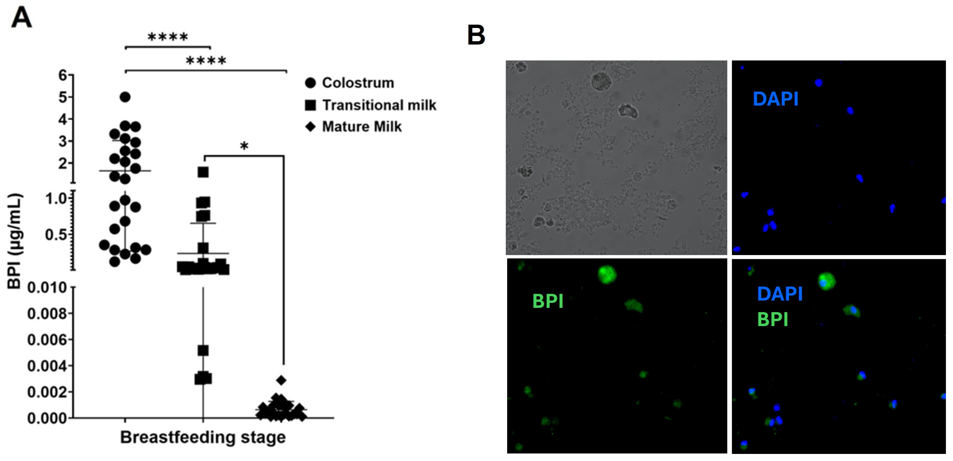 Microorganisms 13 00115 g001