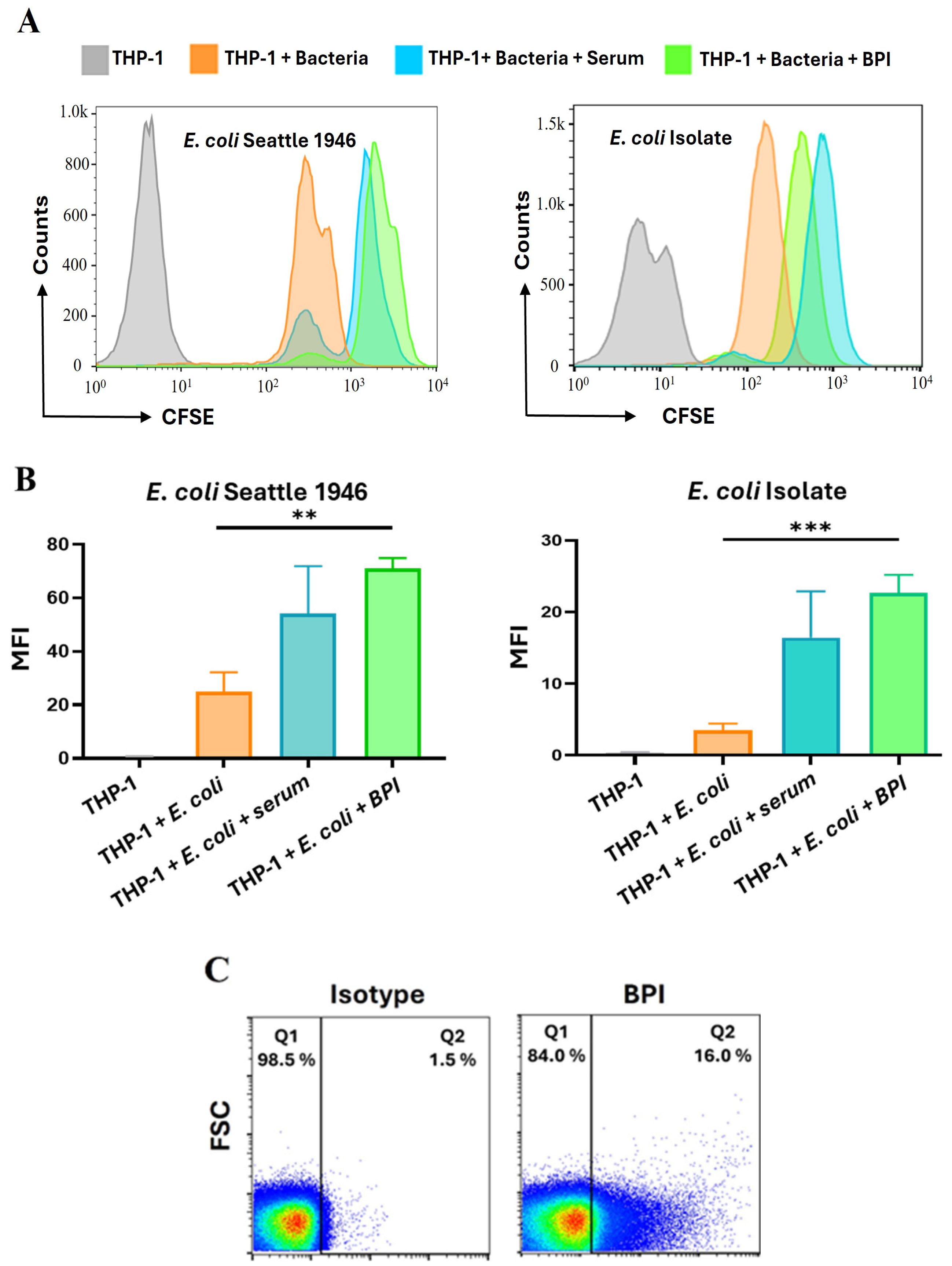 Microorganisms 13 00115 g004