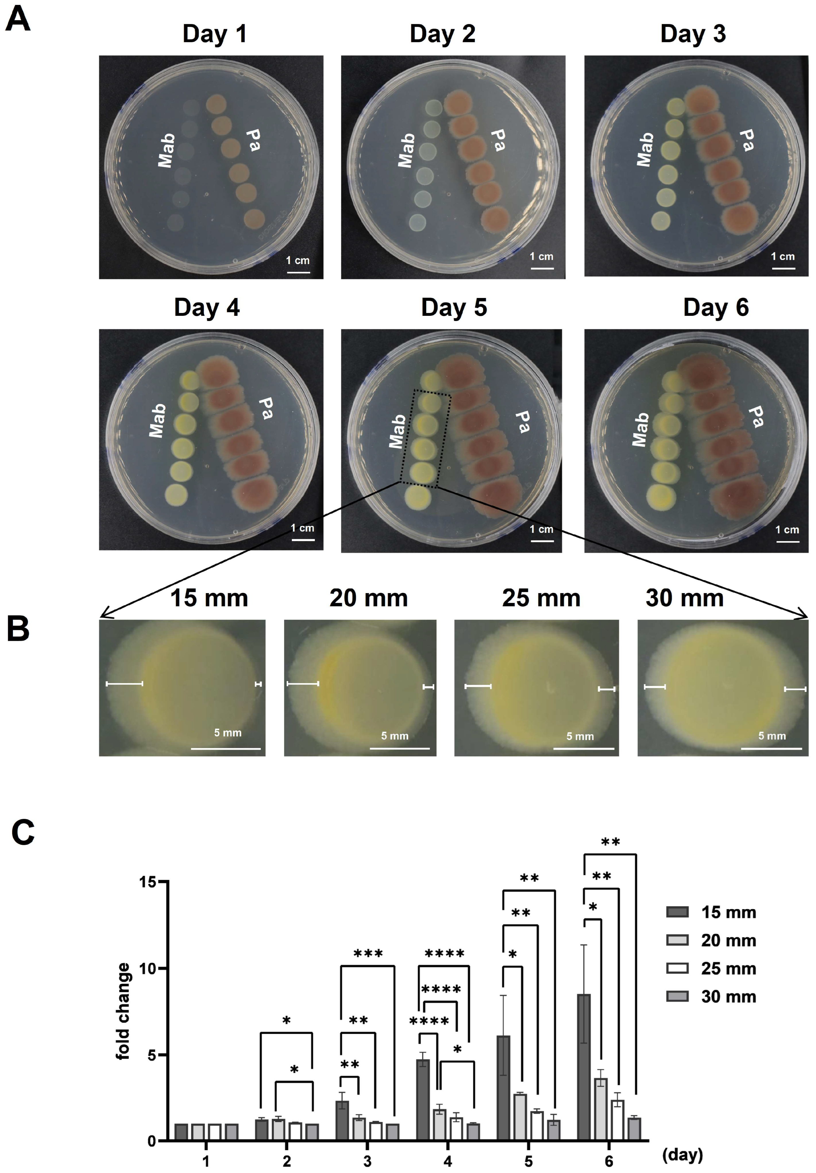 Microorganisms 13 00116 g001