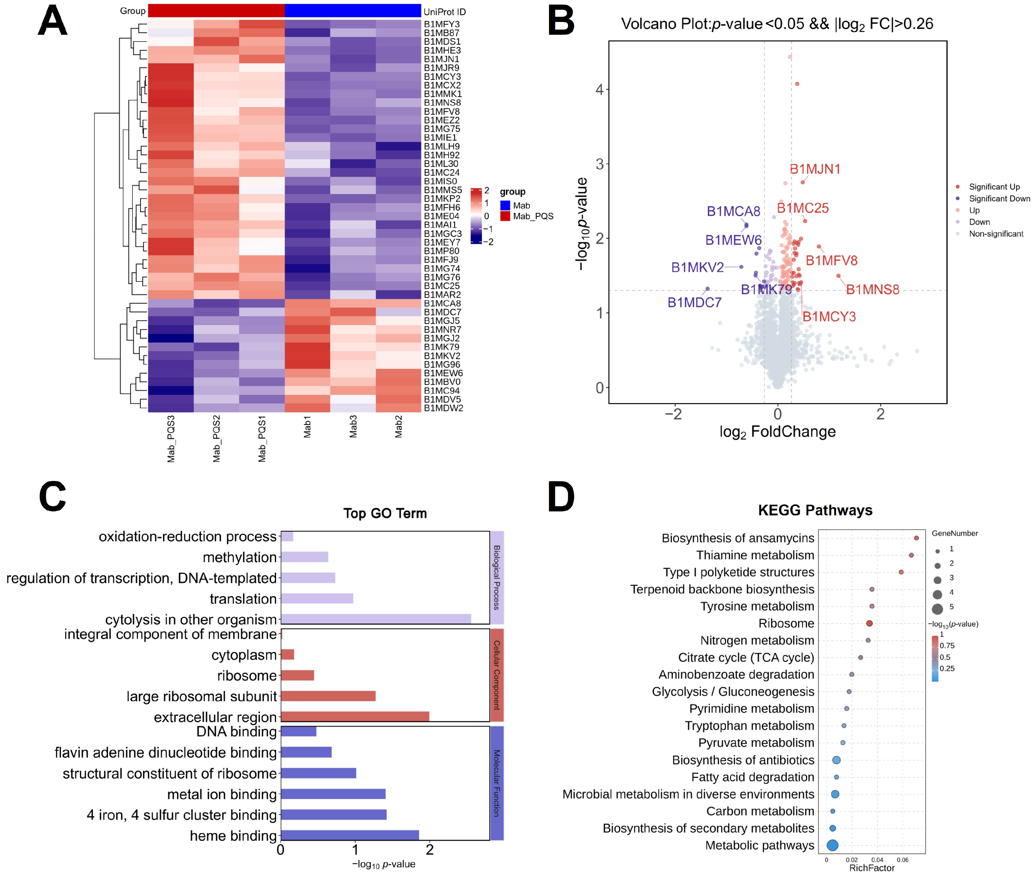 Microorganisms 13 00116 g002
