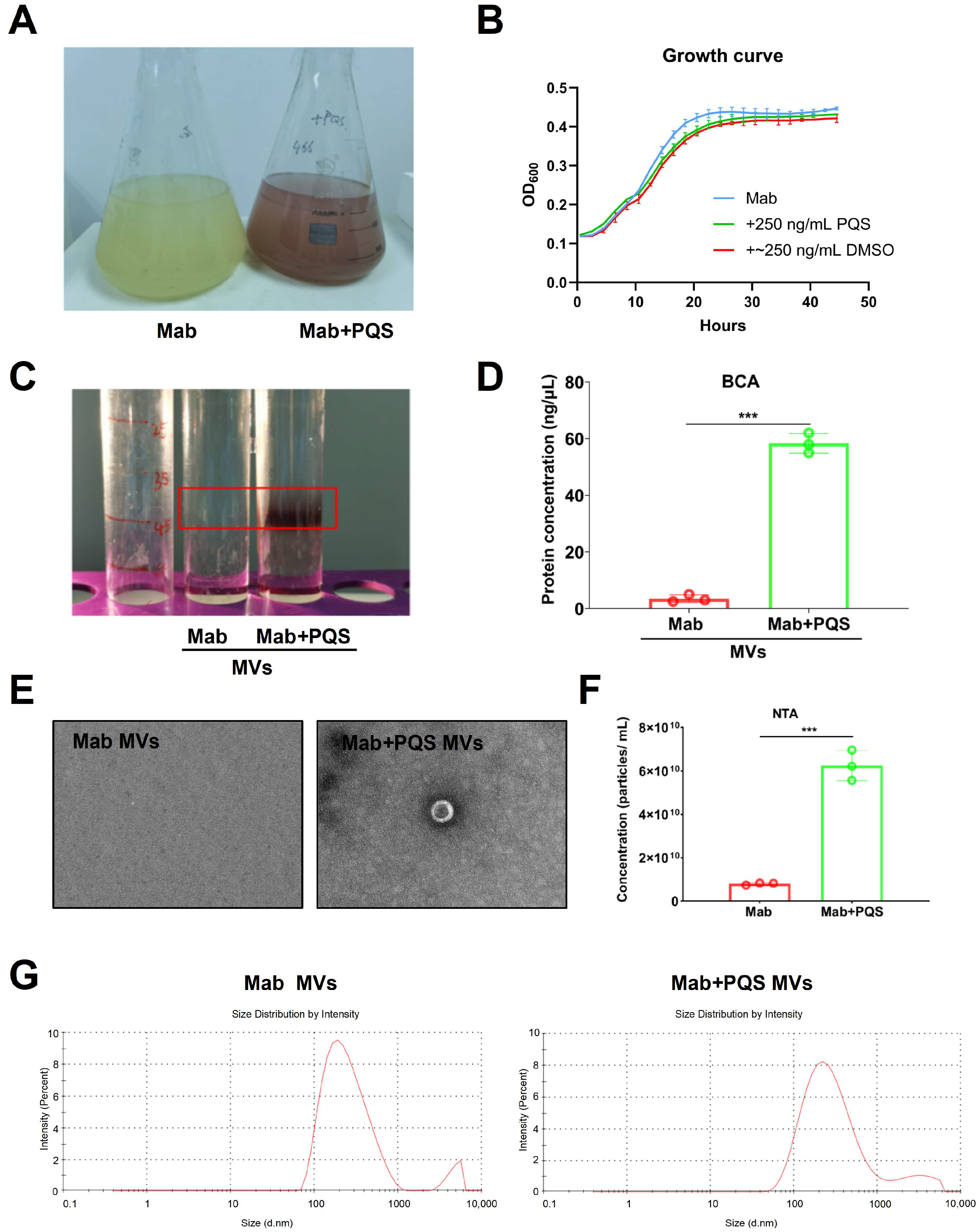 Microorganisms 13 00116 g003