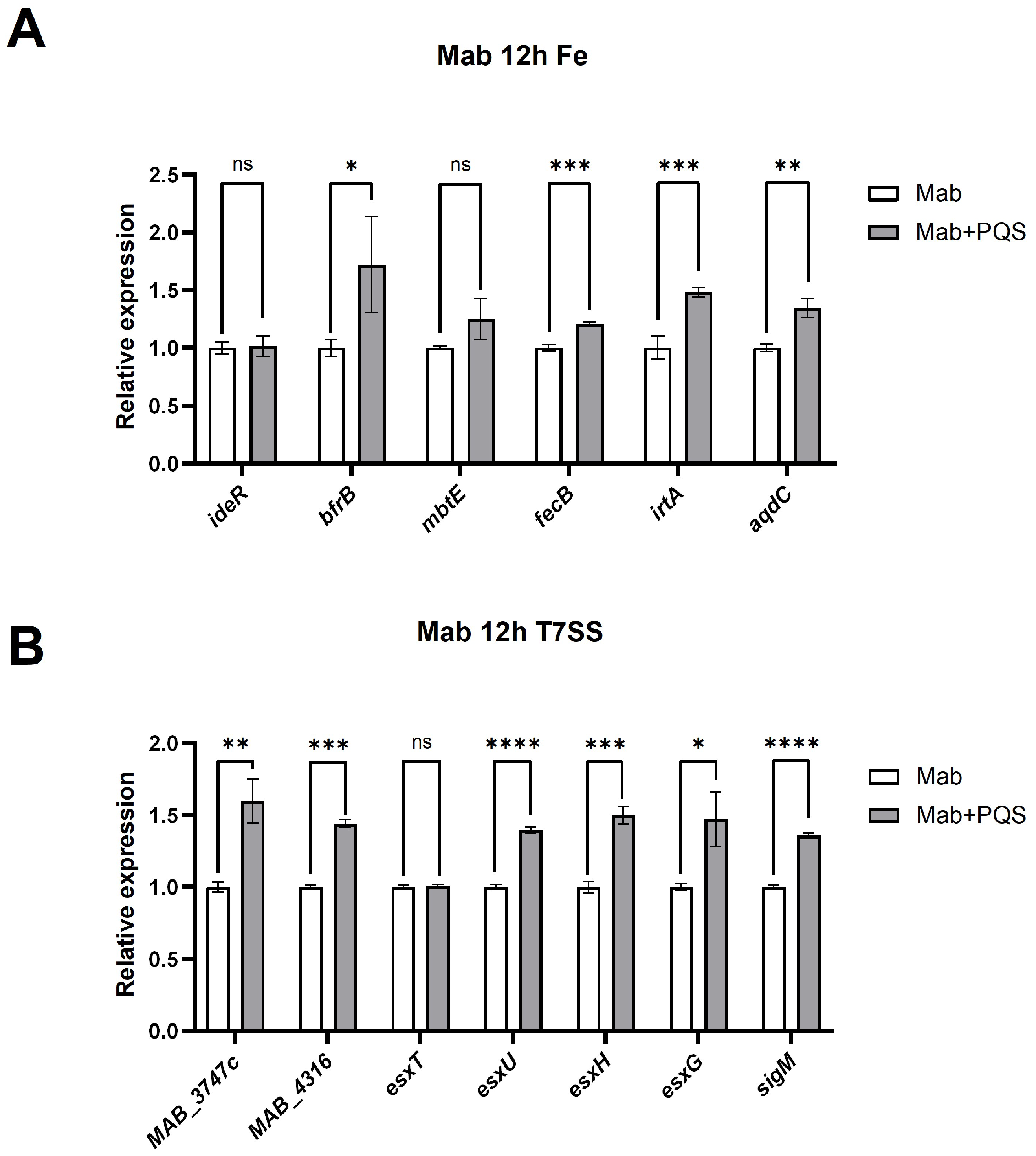 Microorganisms 13 00116 g005