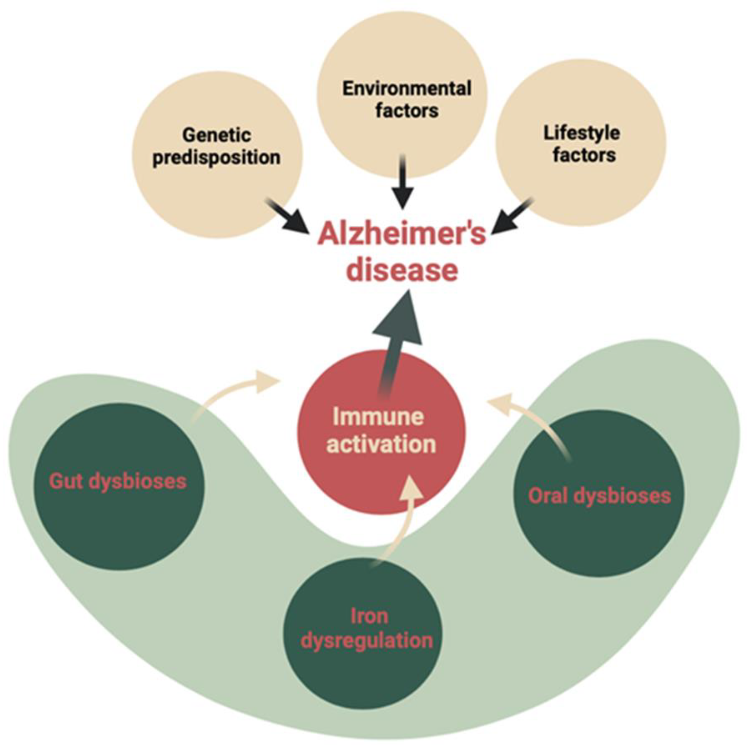 Microorganisms 13 00122 g001