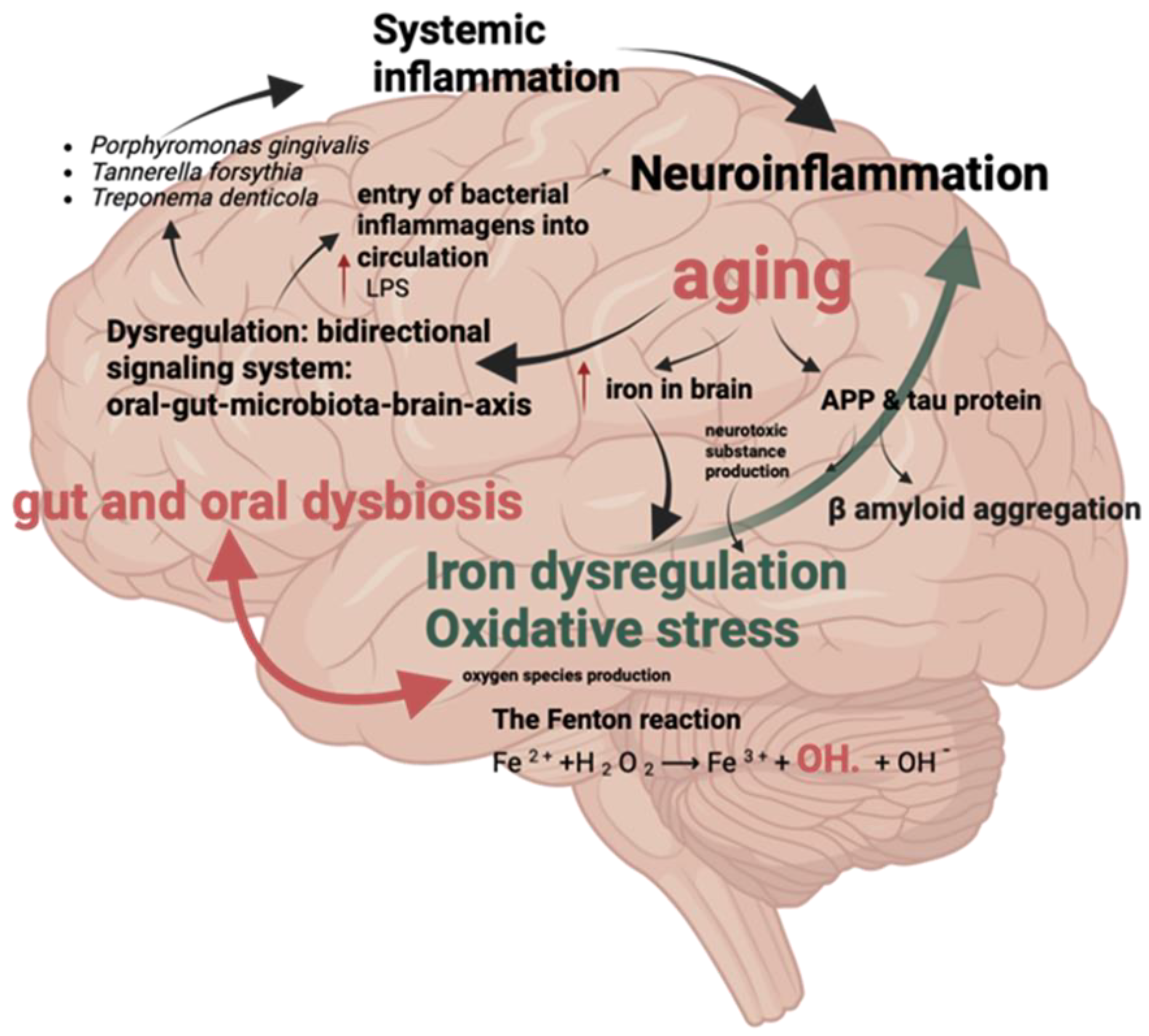 Microorganisms 13 00122 g002