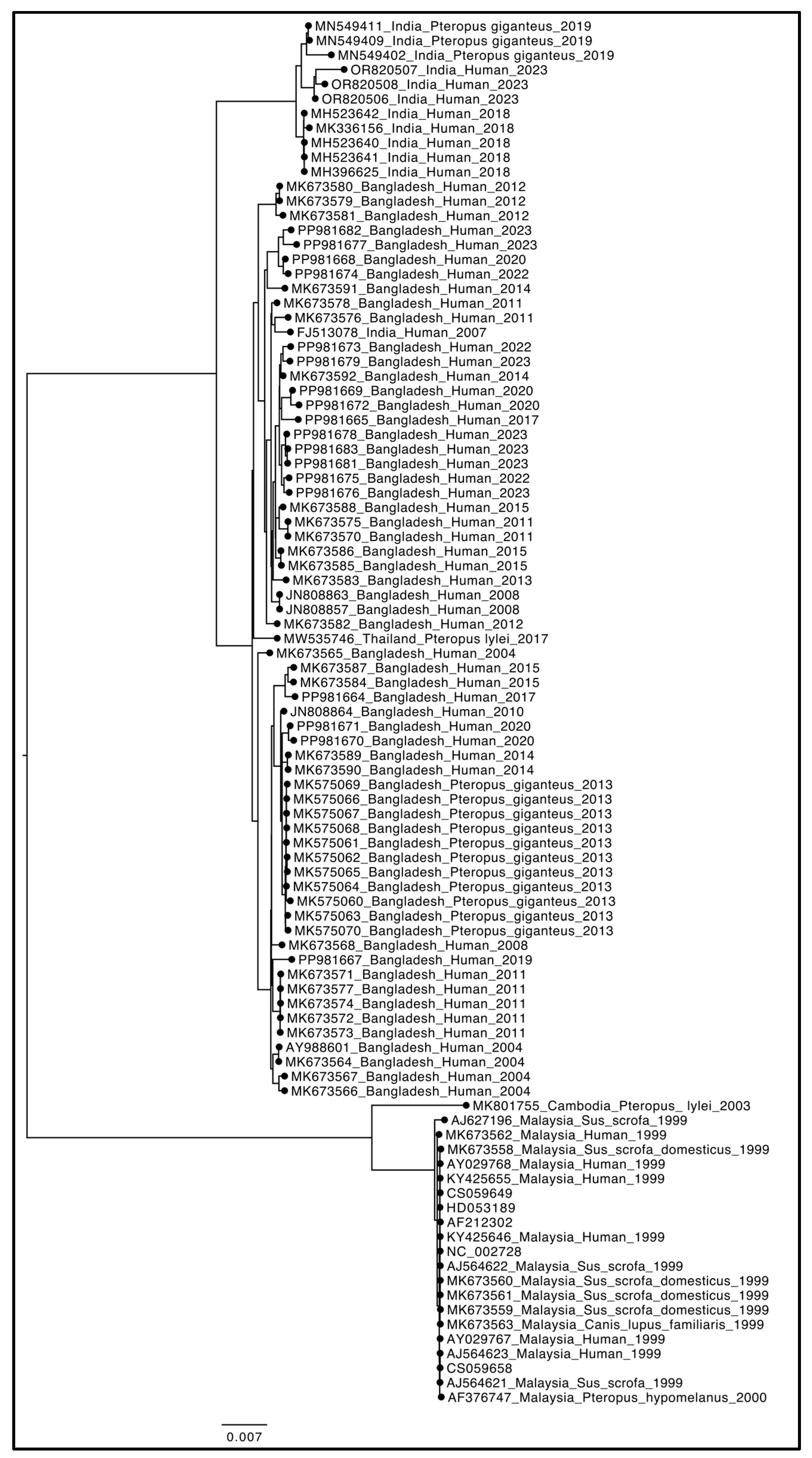 Microorganisms 13 00124 g003 Microorganisms 13 00124 g003