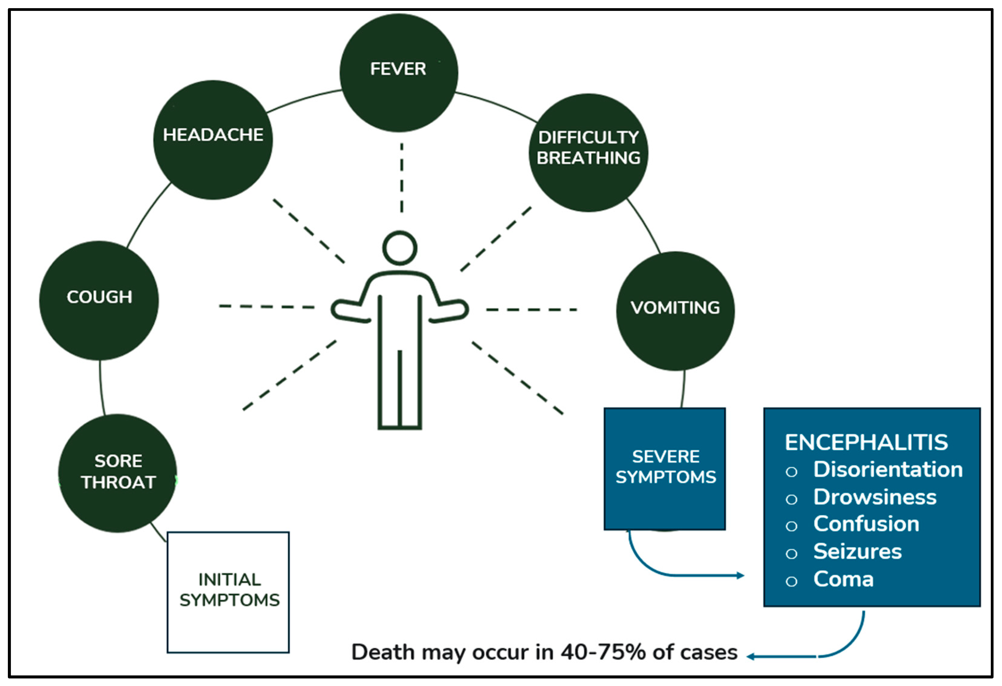 Microorganisms 13 00124 g005 Microorganisms 13 00124 g005
