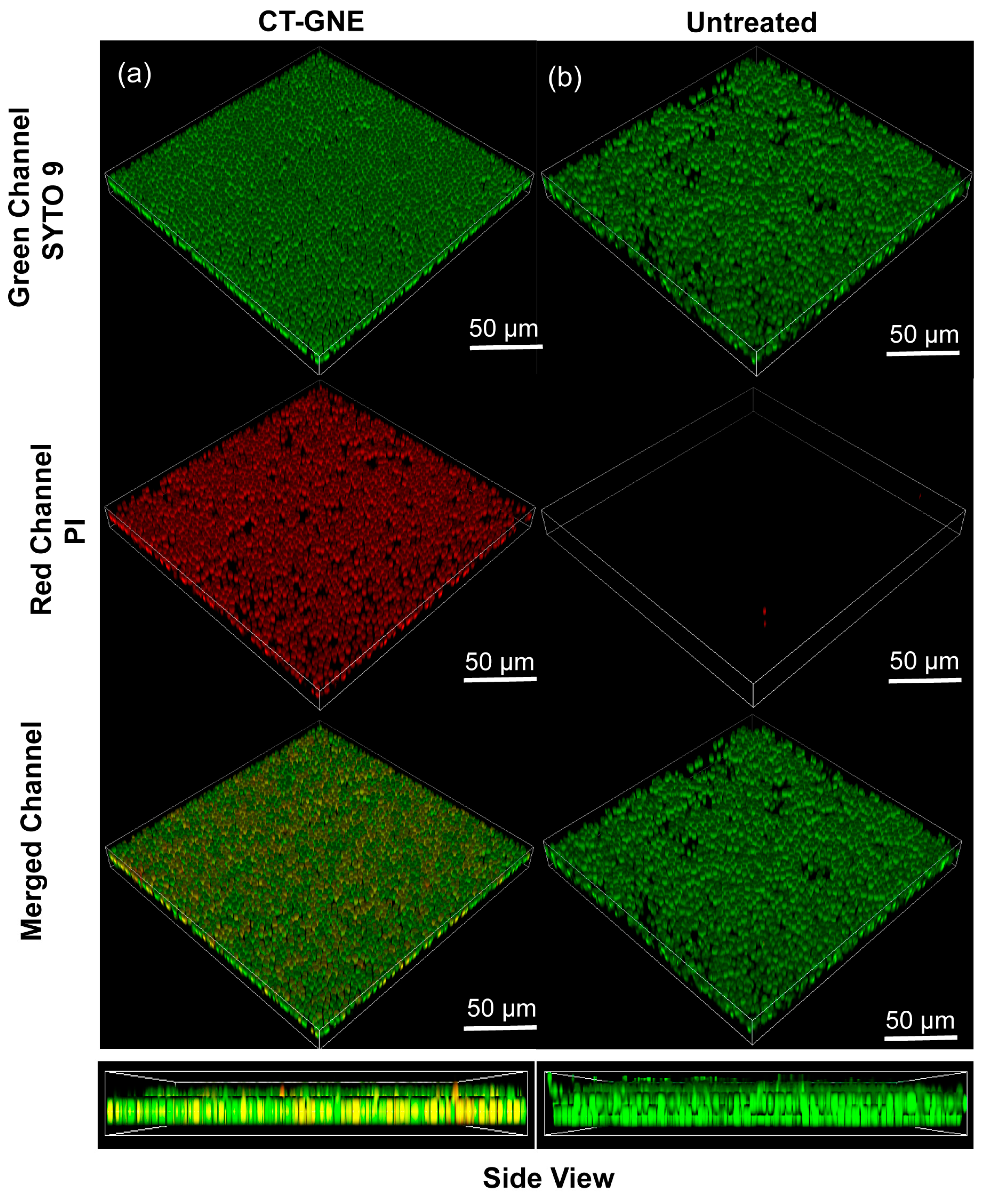 Microorganisms 13 00127 g004 Microorganisms 13 00127 g004