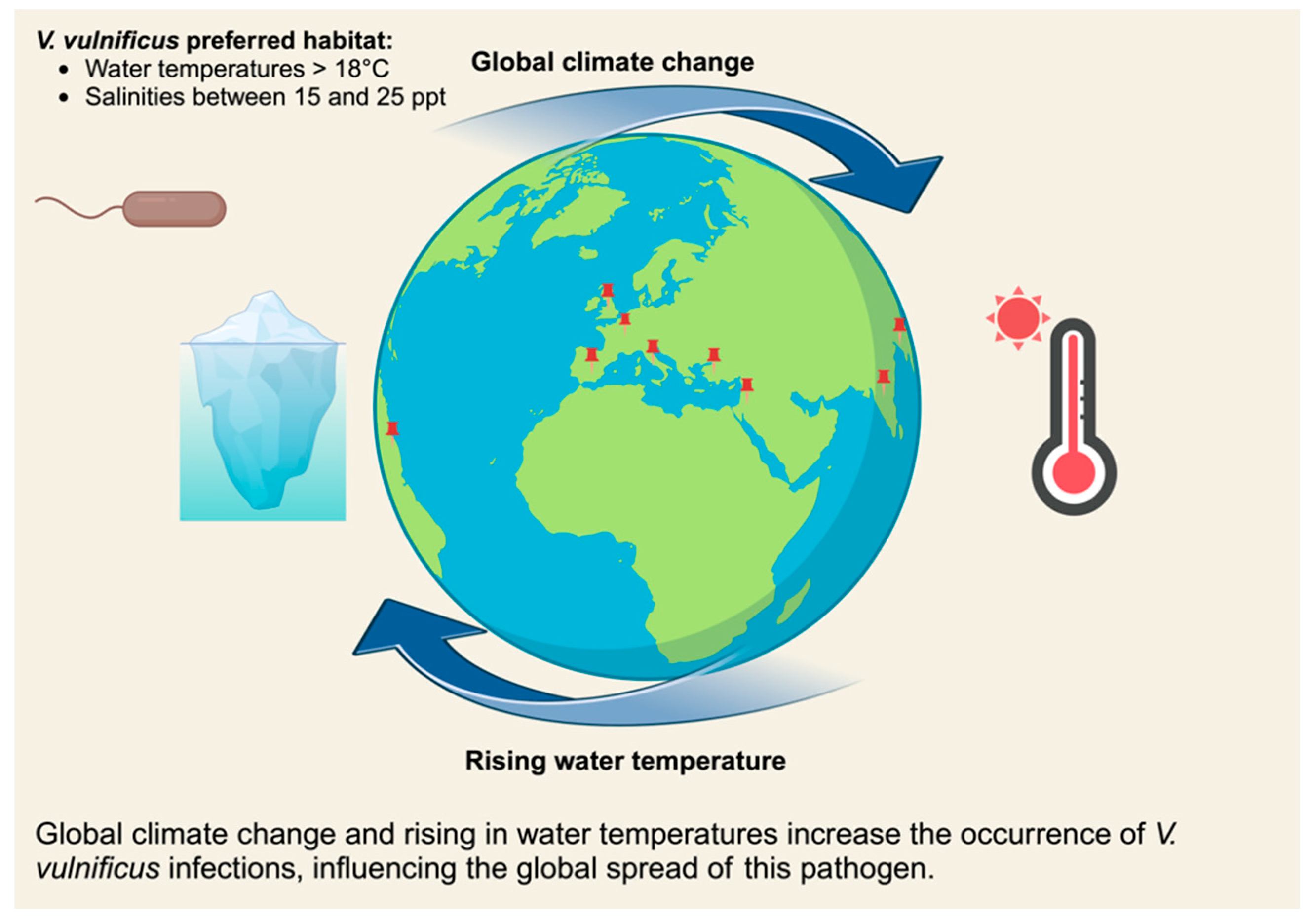 Microorganisms 13 00128 g002 Microorganisms 13 00128 g002