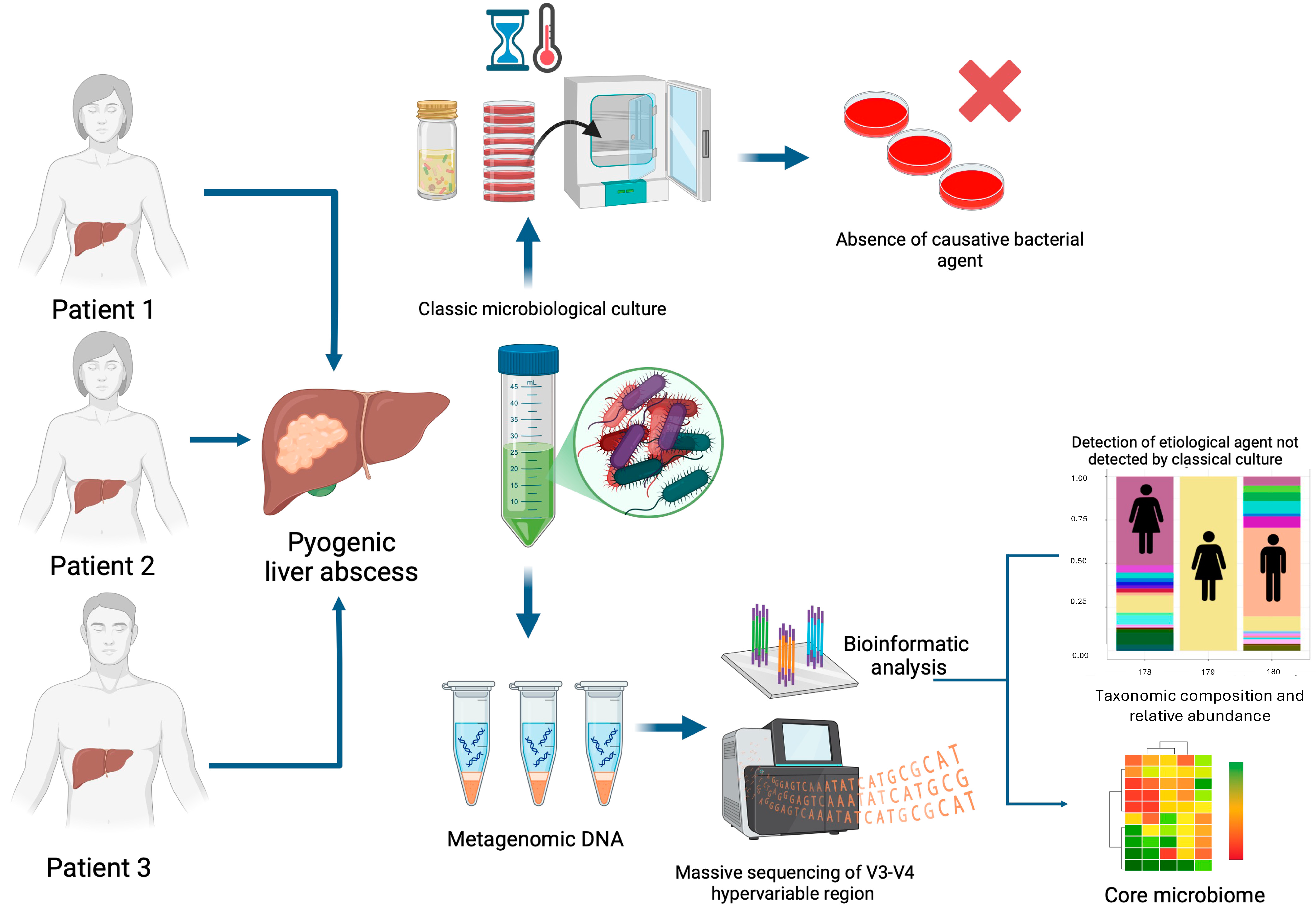 Microorganisms 13 00131 g002