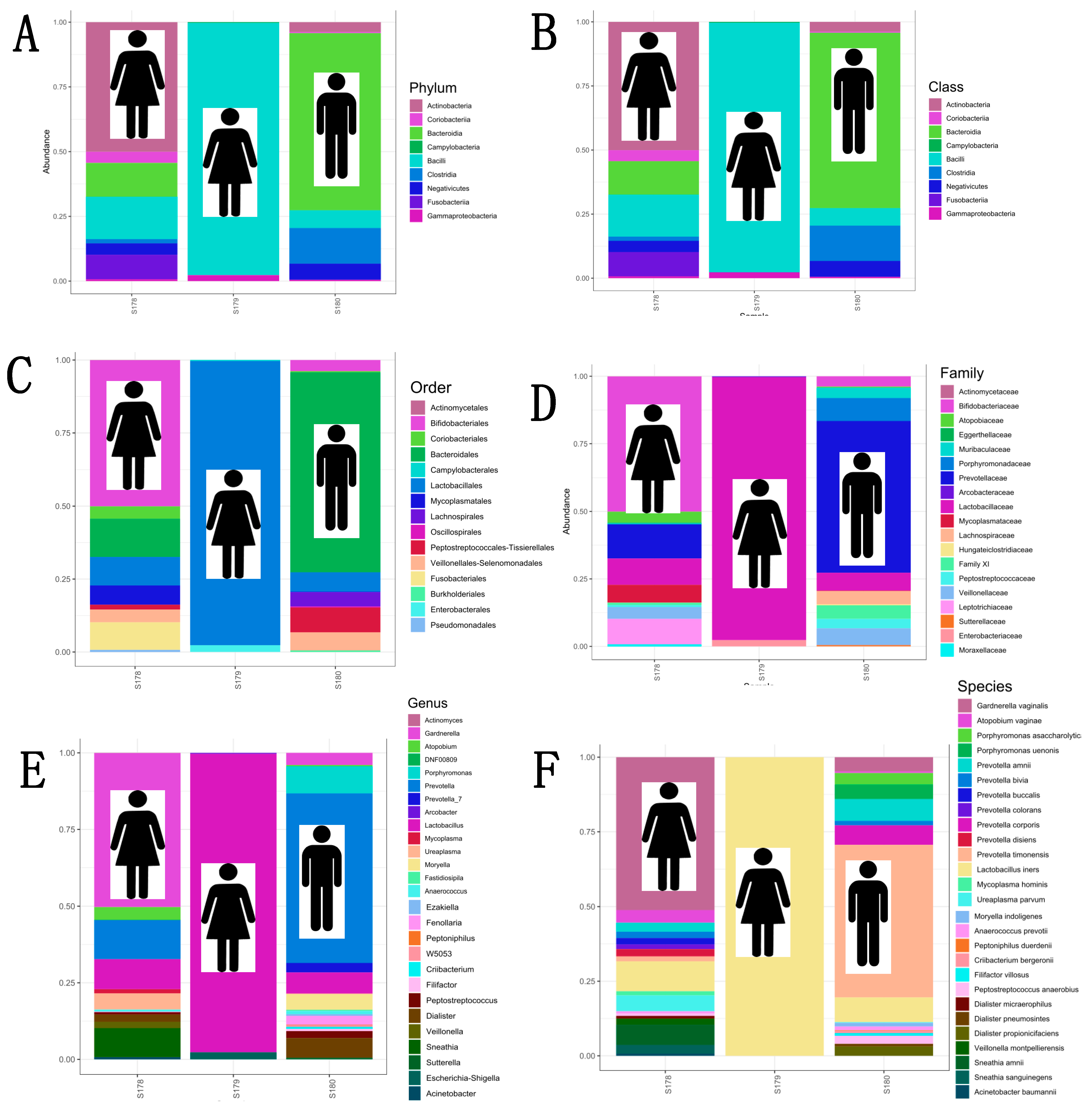Microorganisms 13 00131 g006