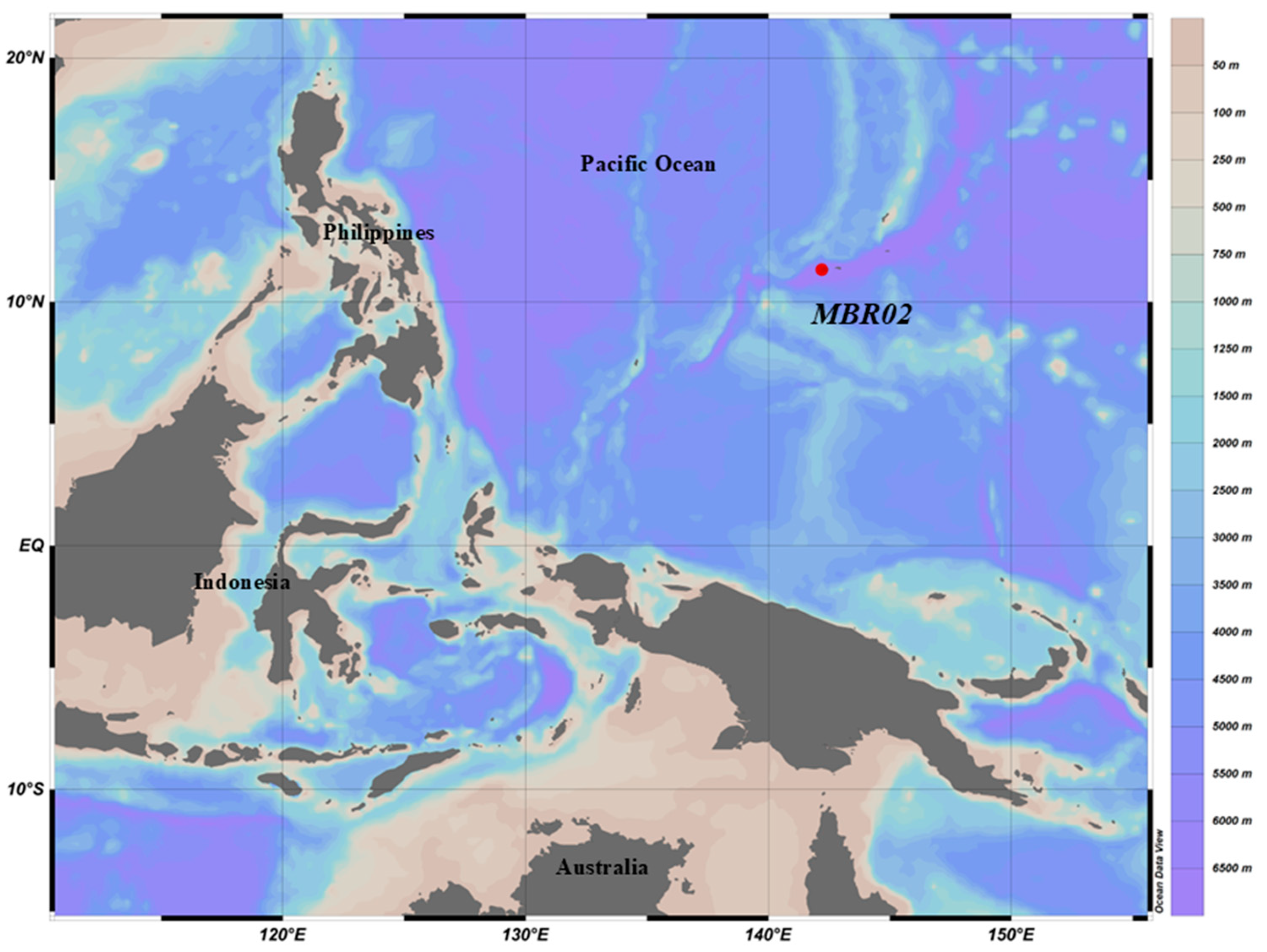 Microorganisms 13 00132 g001