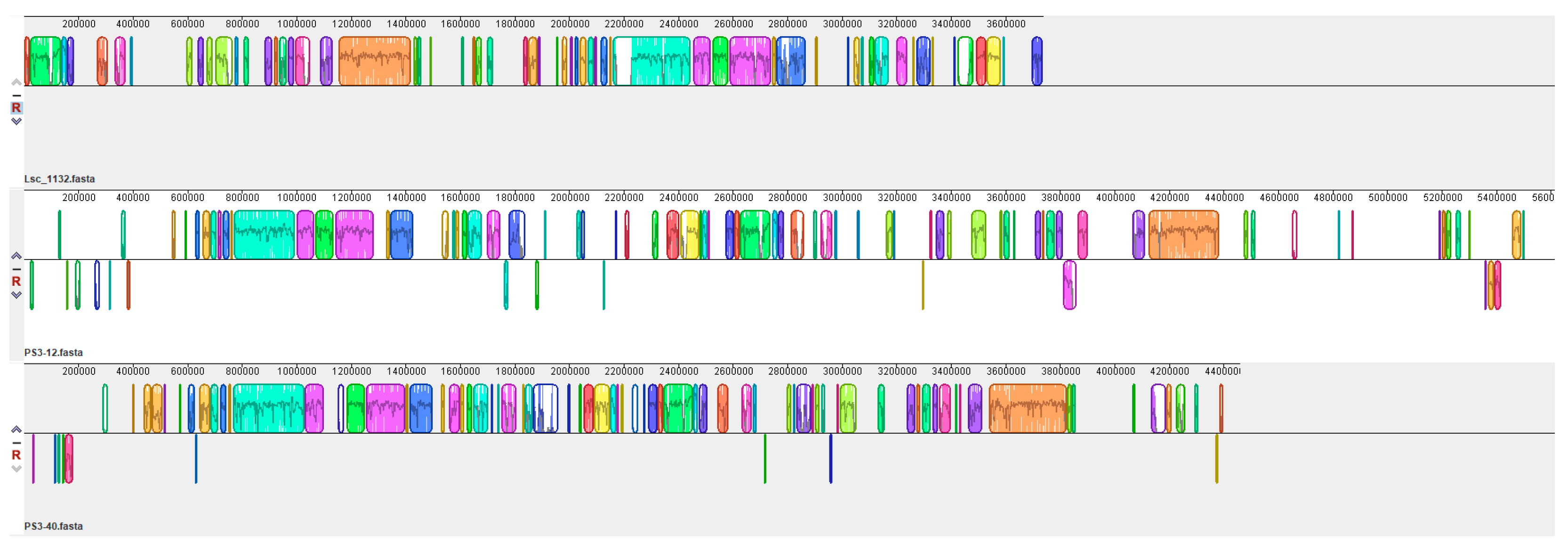 Microorganisms 13 00132 g004