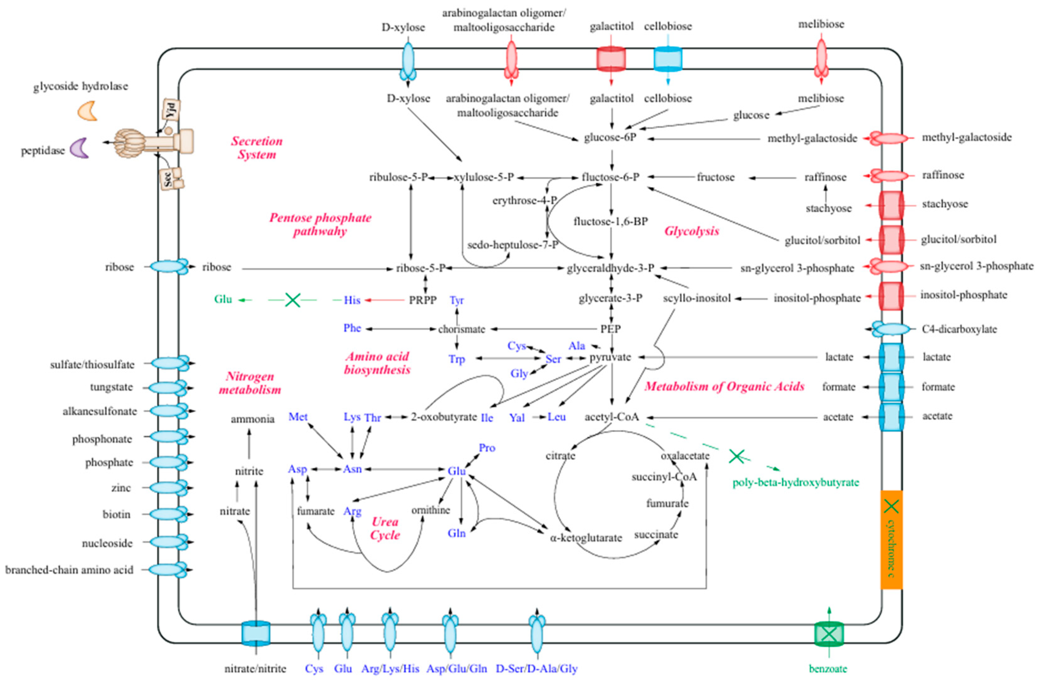 Microorganisms 13 00132 g005