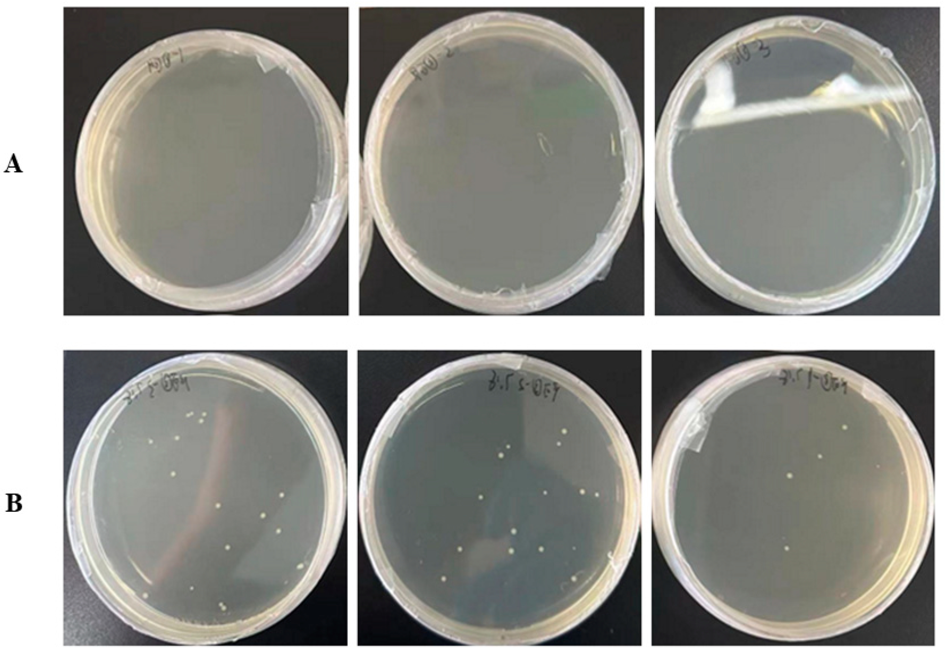 Microorganisms 13 00132 g006
