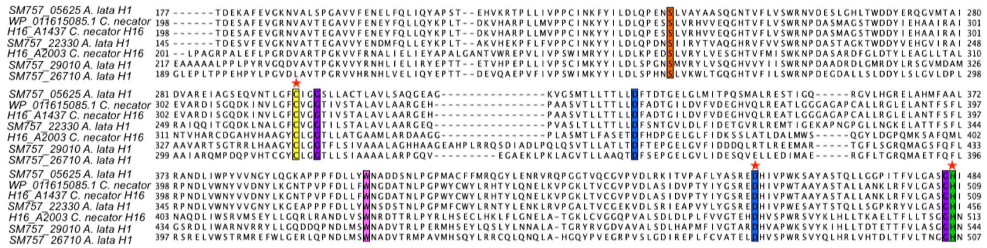Microorganisms 13 00137 g006