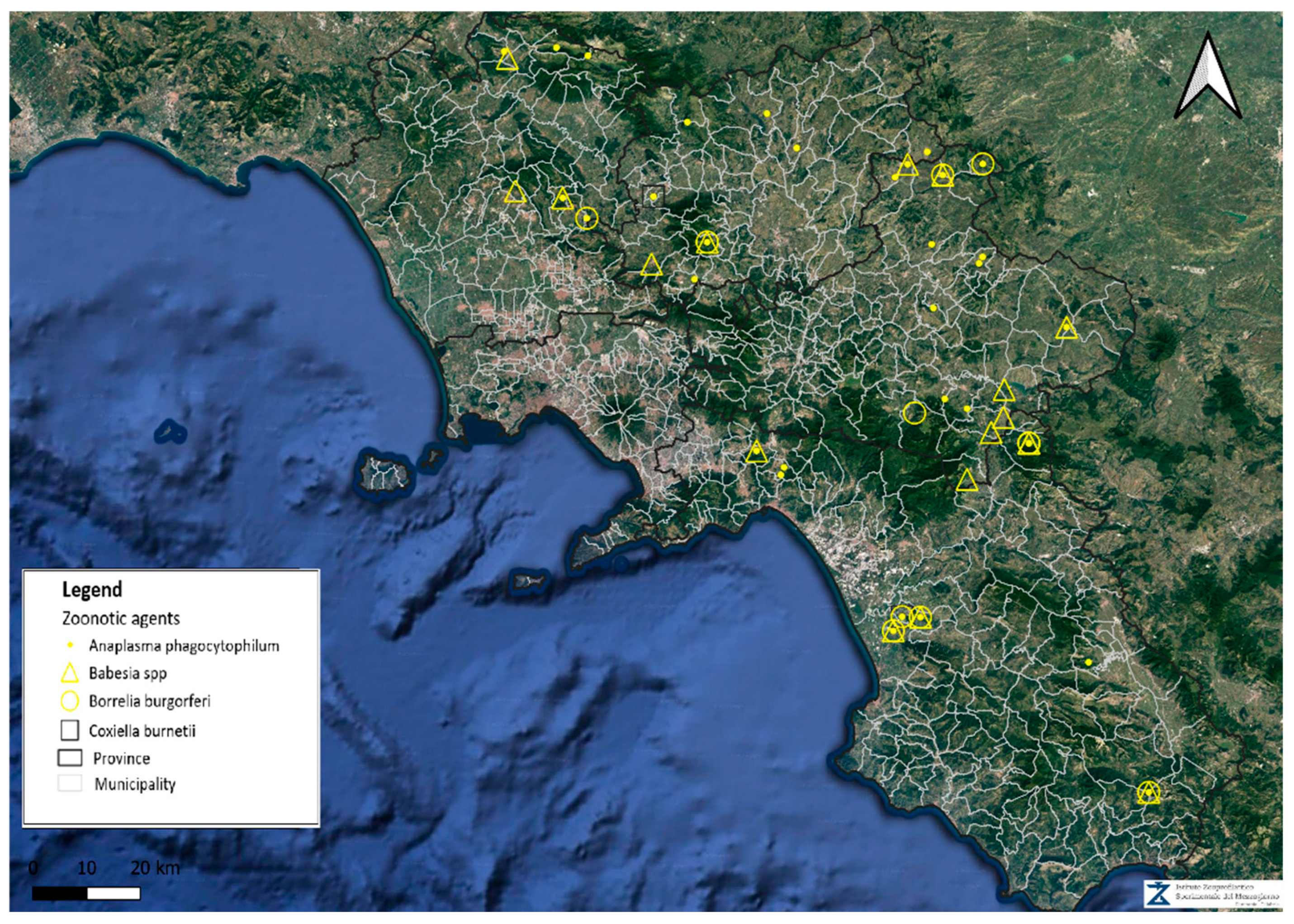 Microorganisms 13 00139 g001