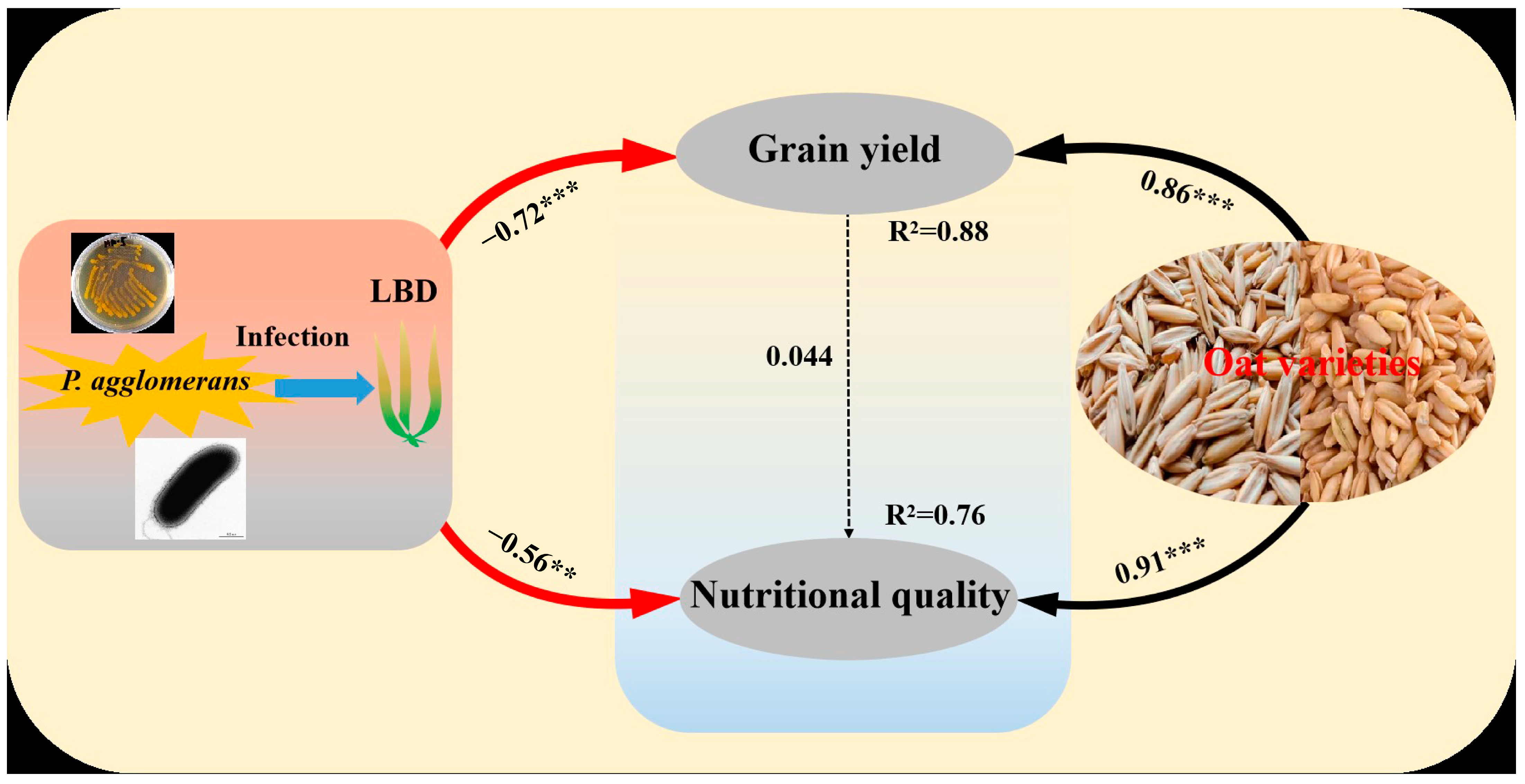 Microorganisms 13 00141 g006