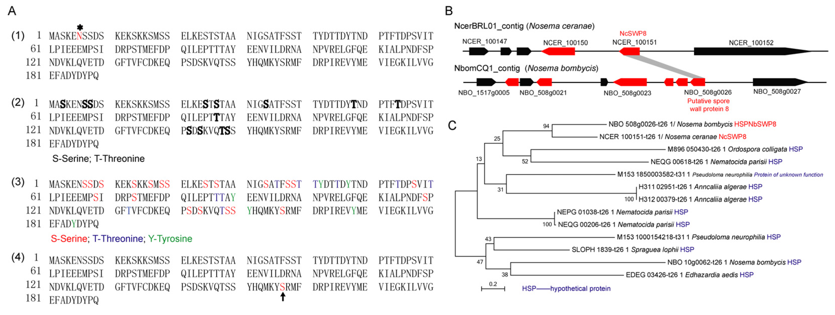 Microorganisms 13 00142 g001