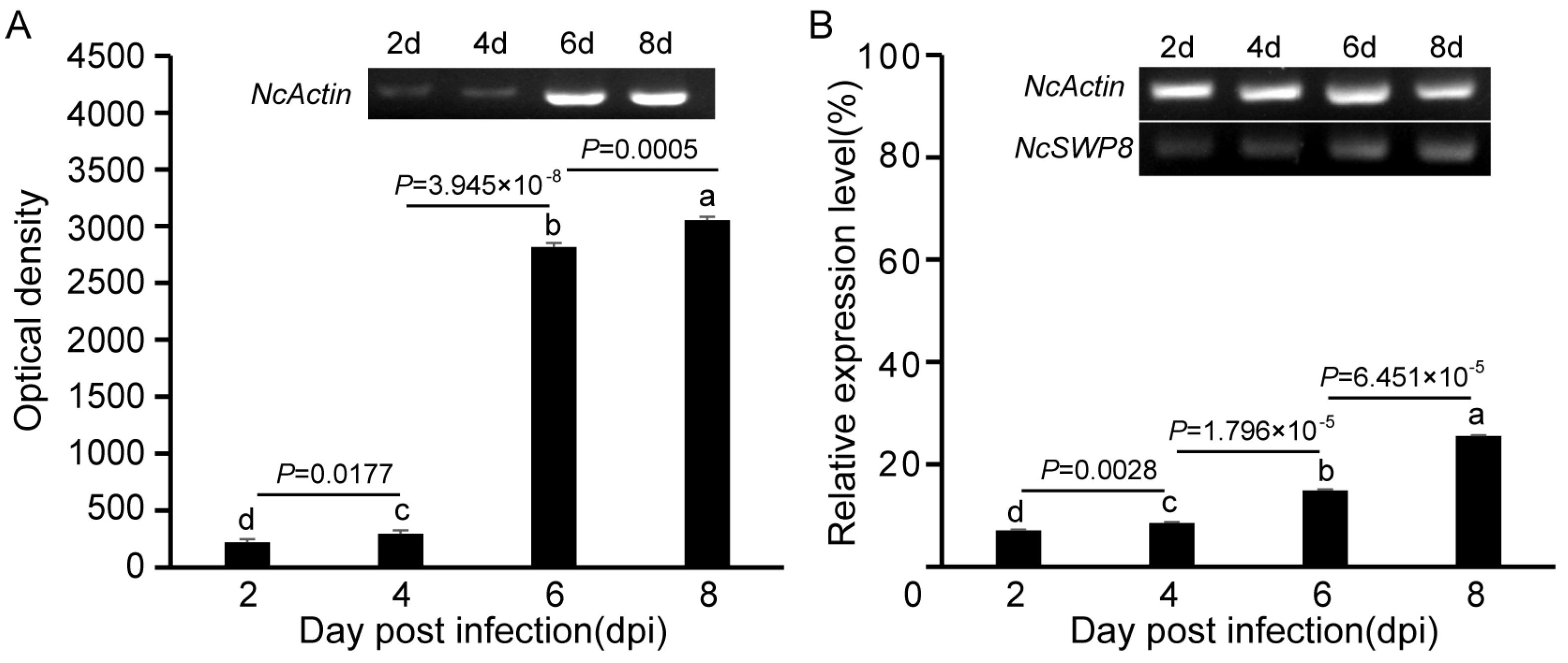 Microorganisms 13 00142 g002
