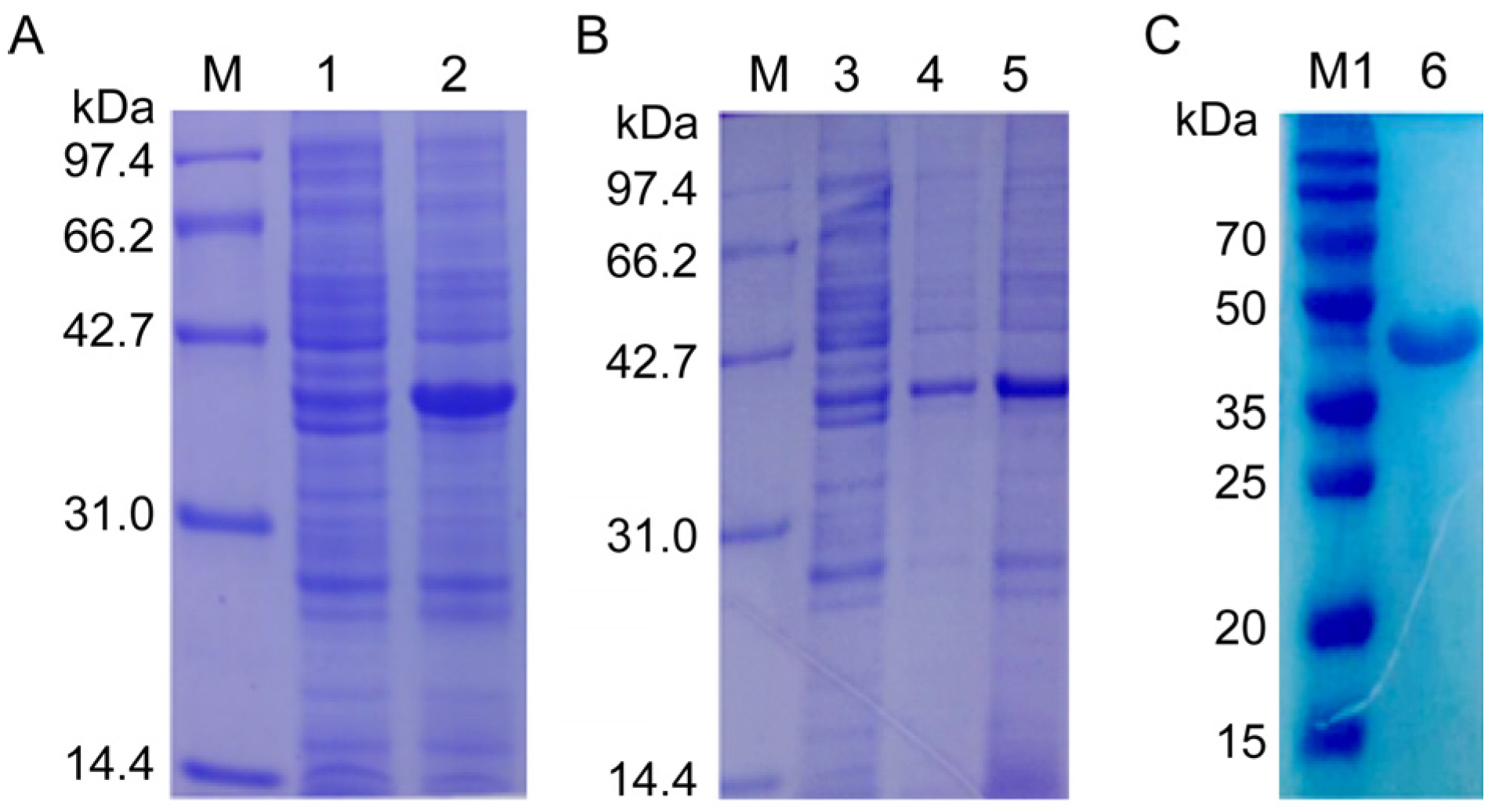 Microorganisms 13 00142 g004