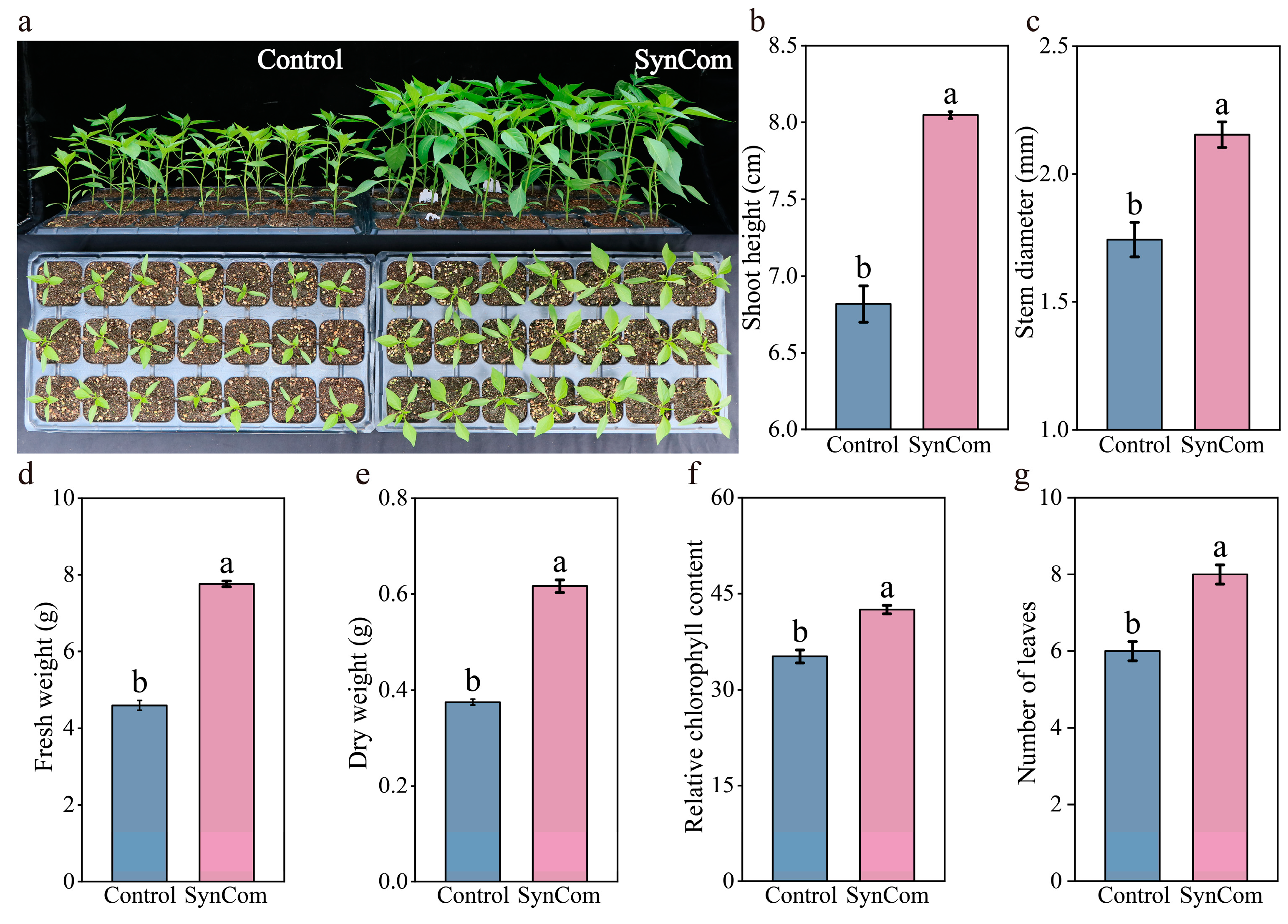 Microorganisms 13 00148 g001