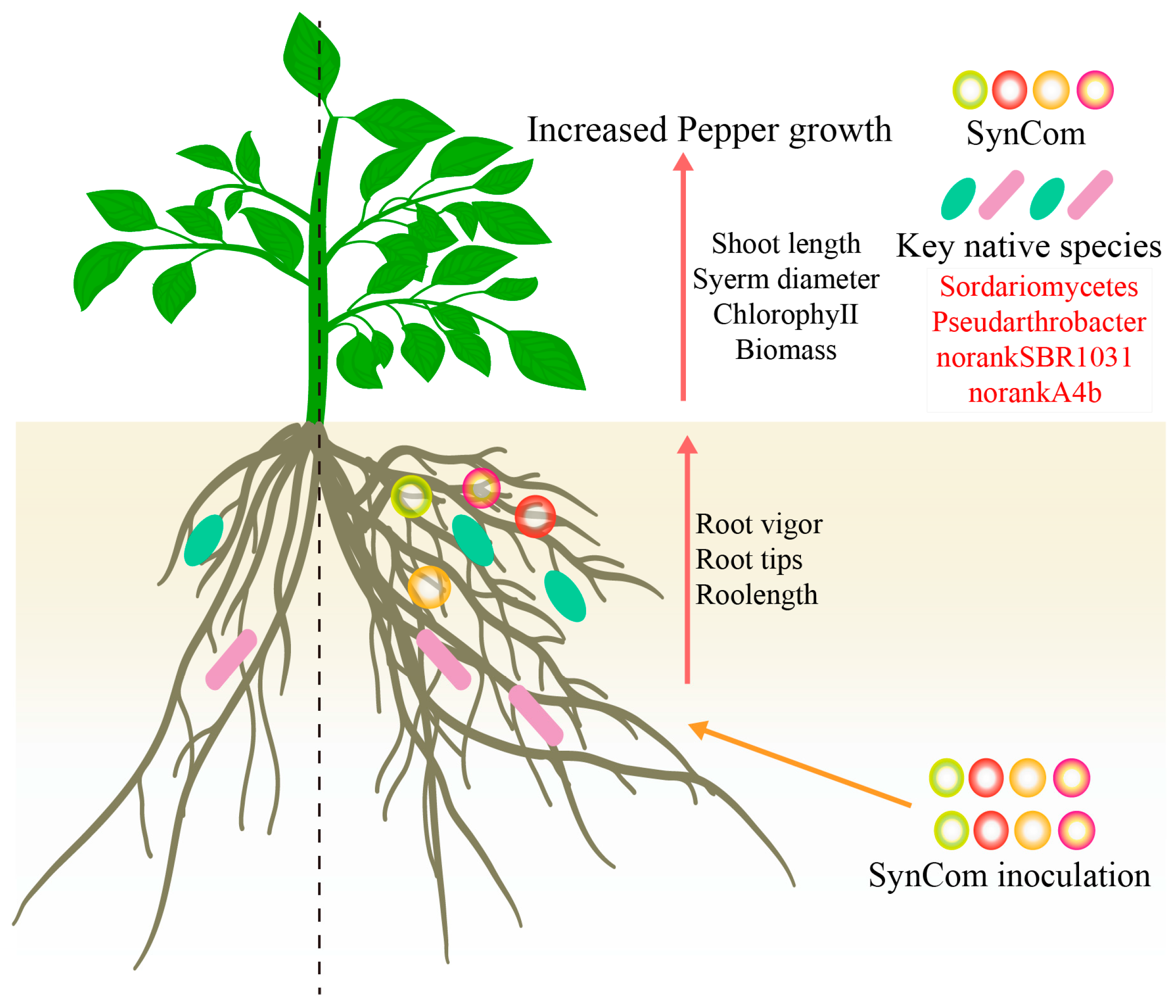 Microorganisms 13 00148 g006
