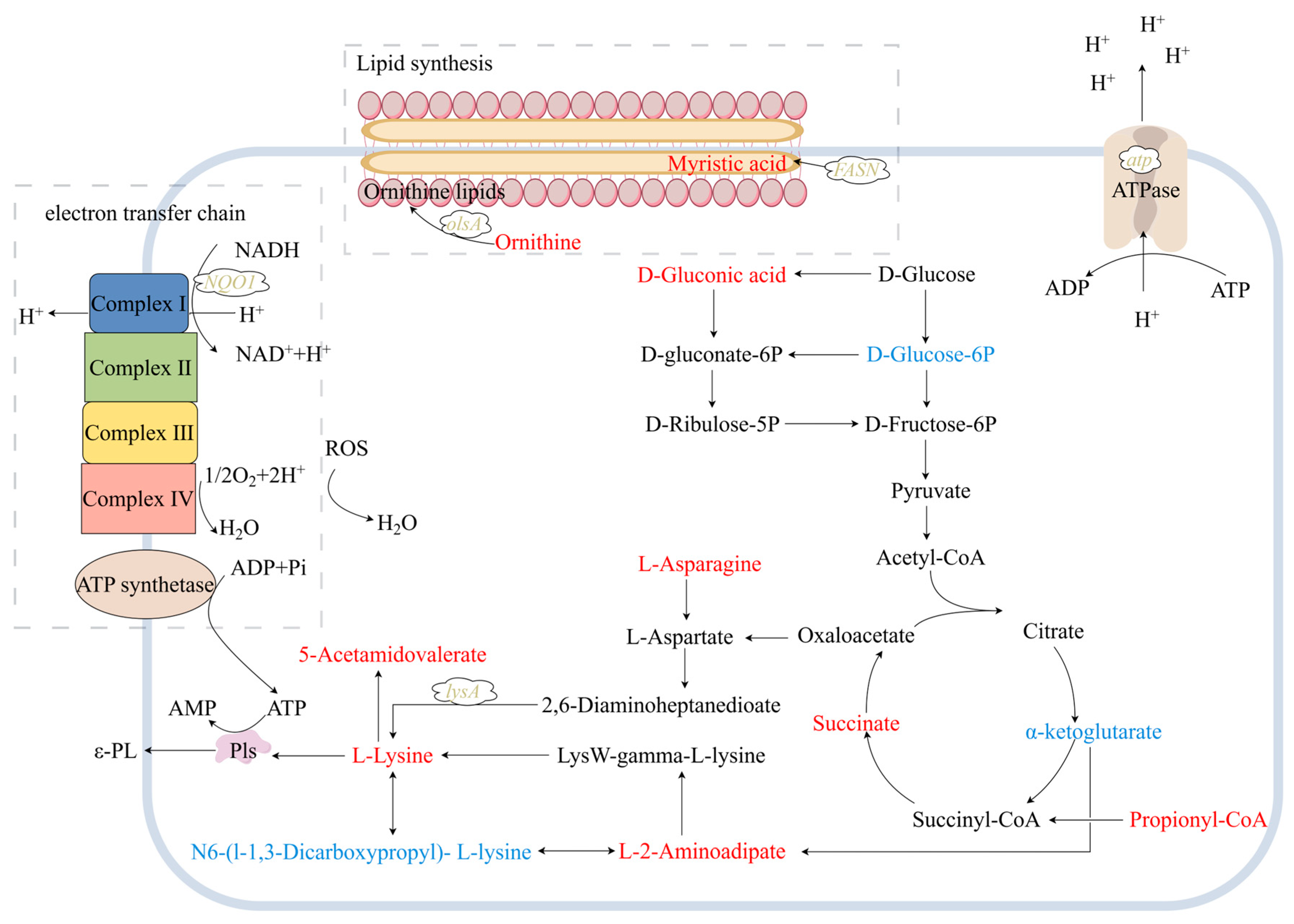 Microorganisms 13 00149 g003