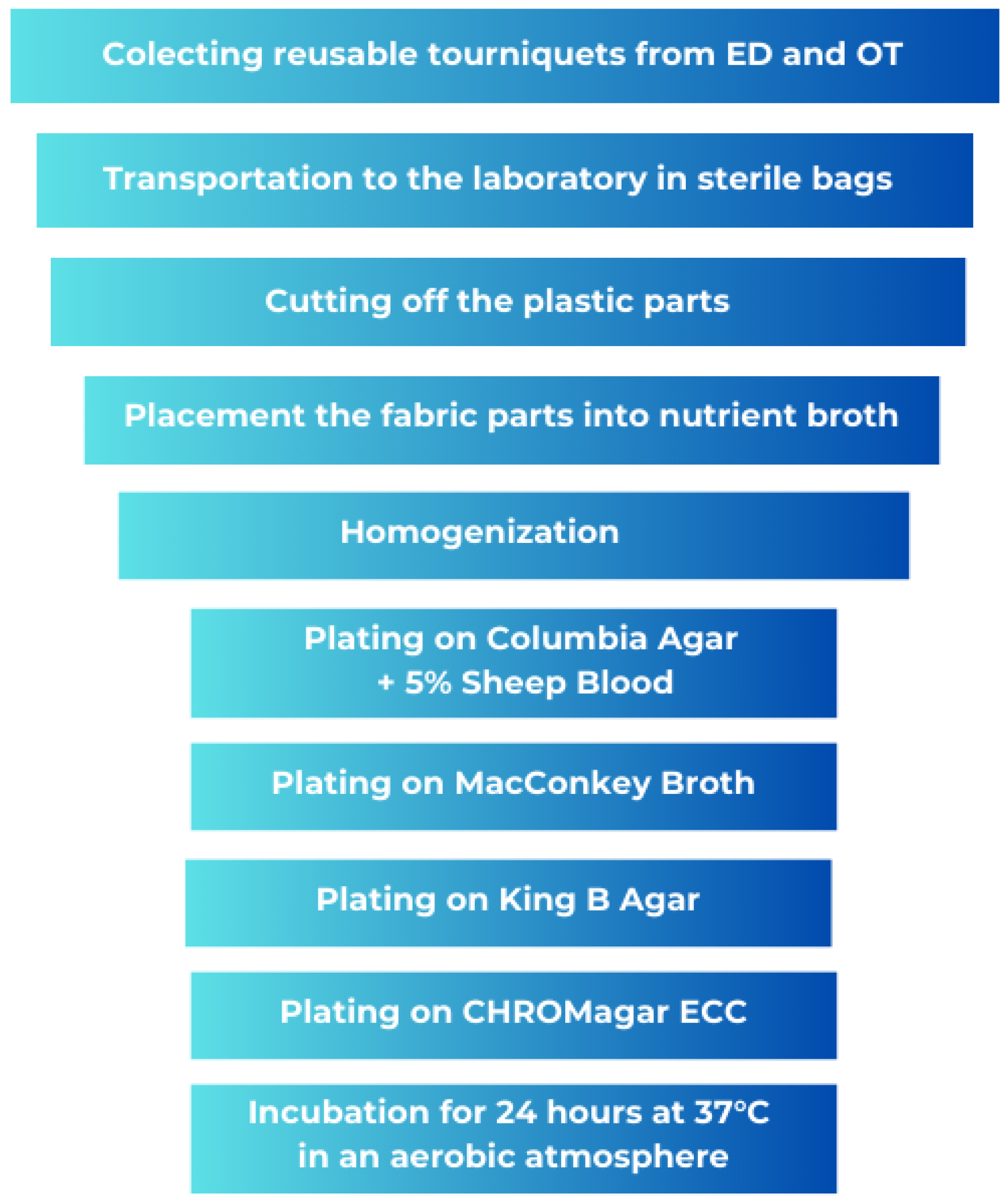 Microorganisms 13 00152 g004