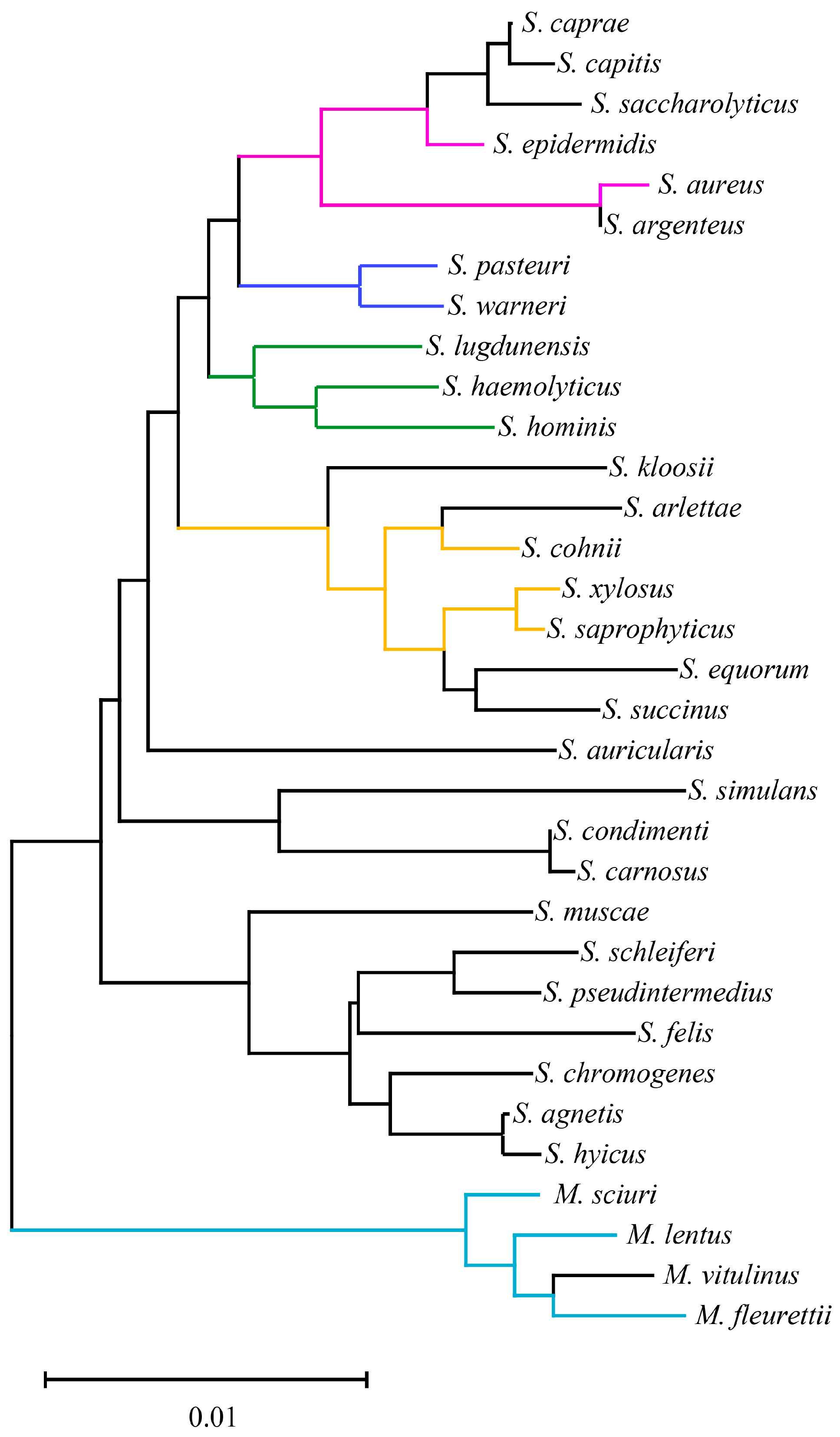 Microorganisms 13 00153 g001