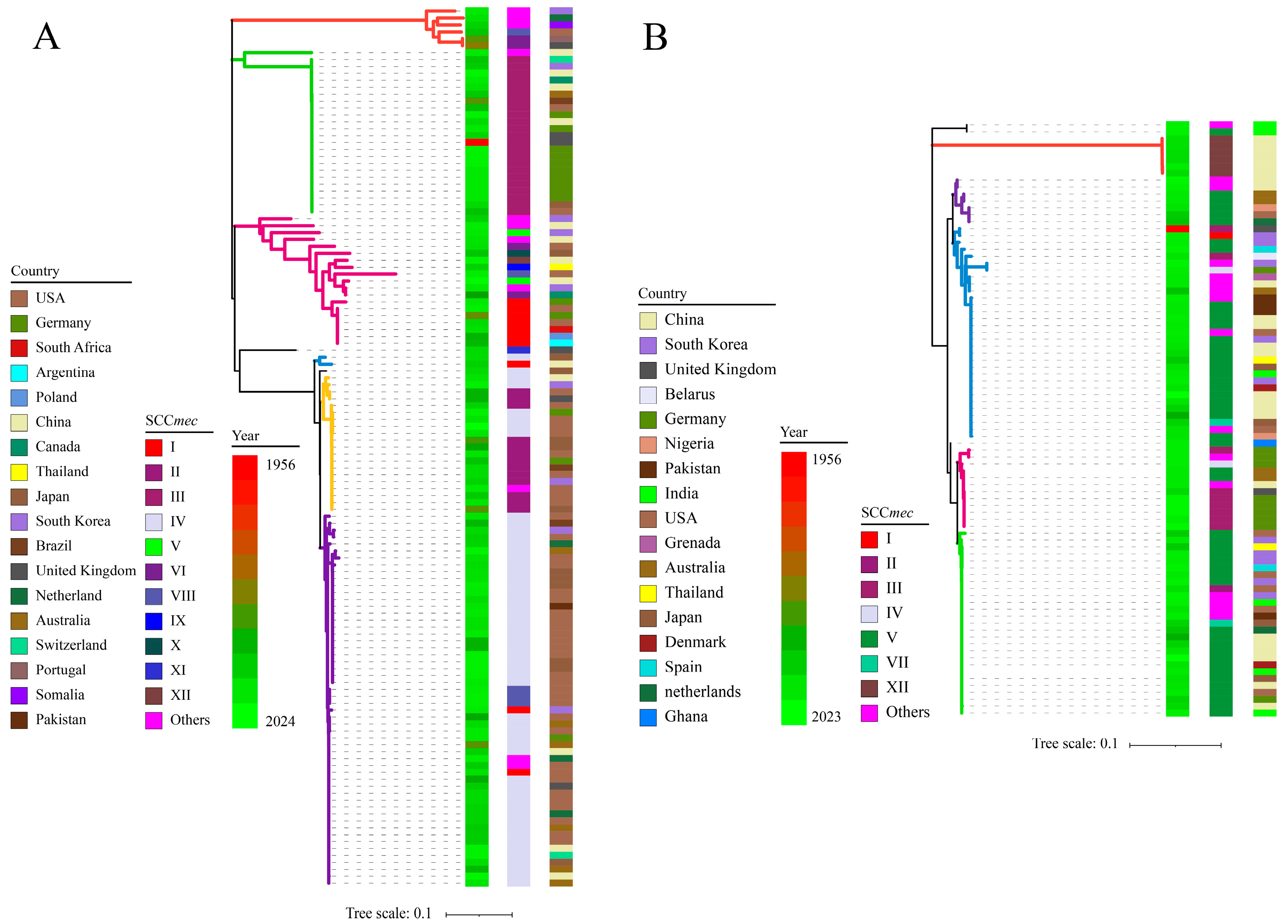 Microorganisms 13 00153 g003