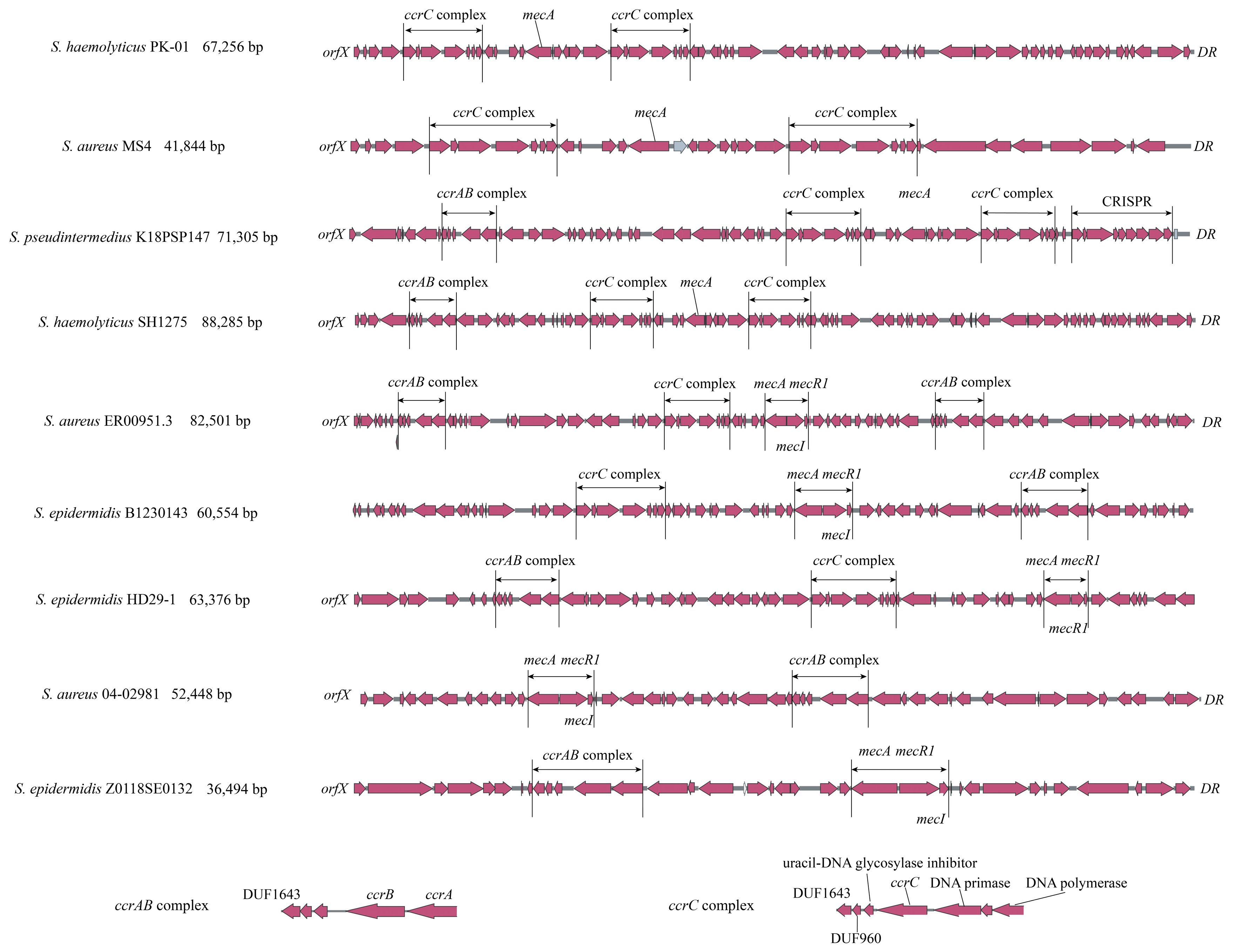Microorganisms 13 00153 g004