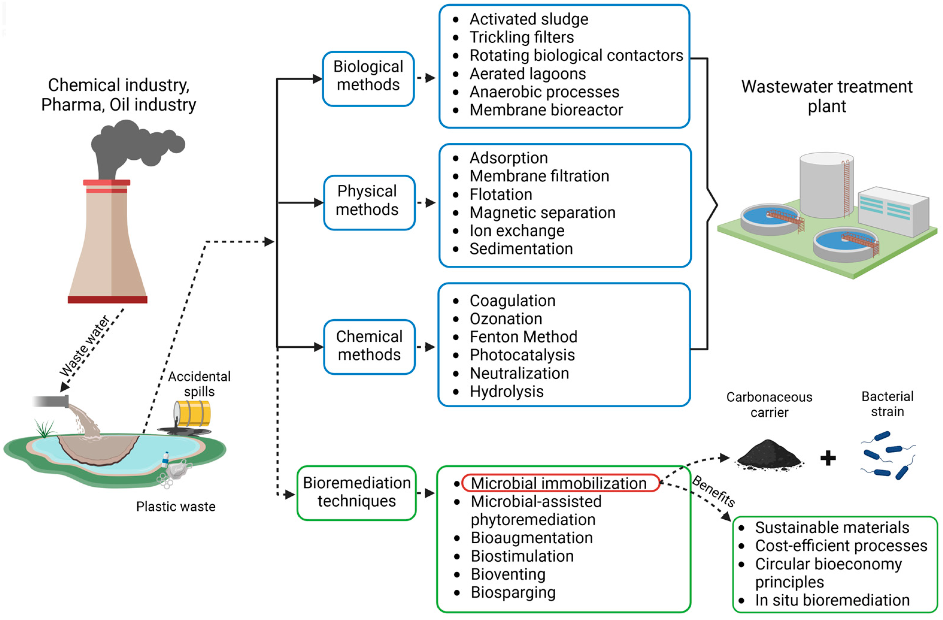 Microorganisms 13 00155 g001 Microorganisms 13 00155 g001
