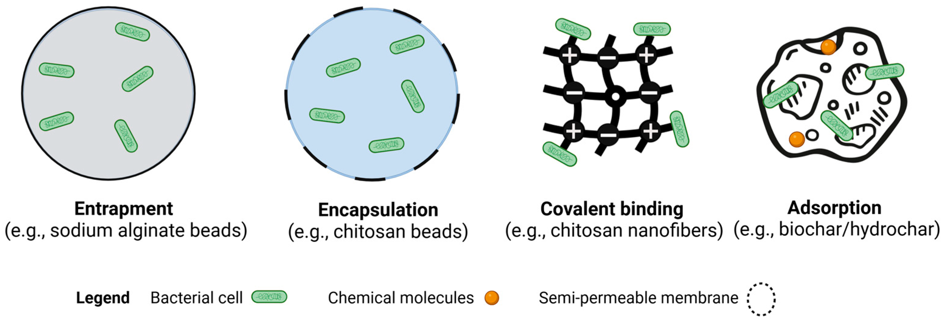Microorganisms 13 00155 g002 Microorganisms 13 00155 g002