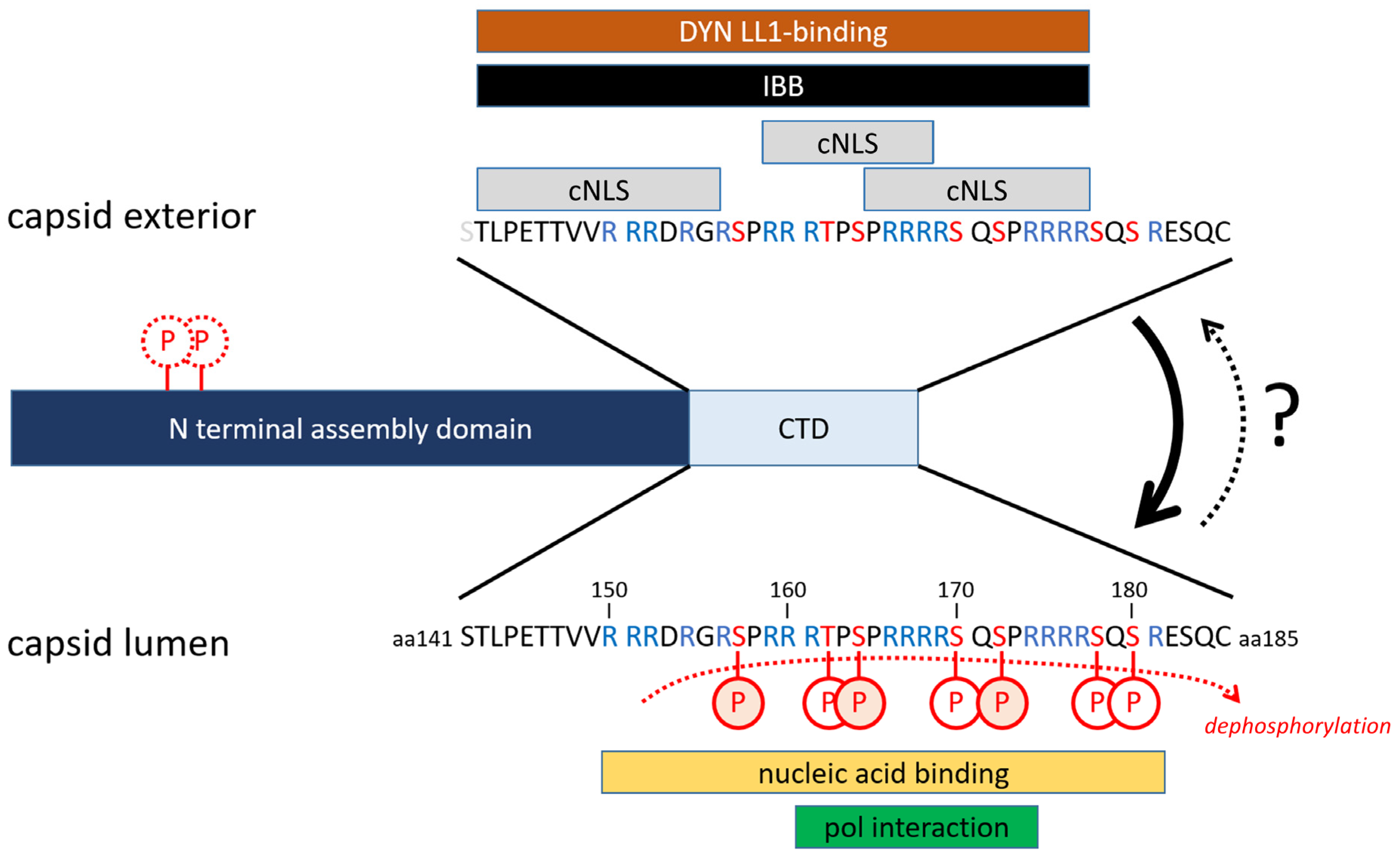 Microorganisms 13 00157 g003