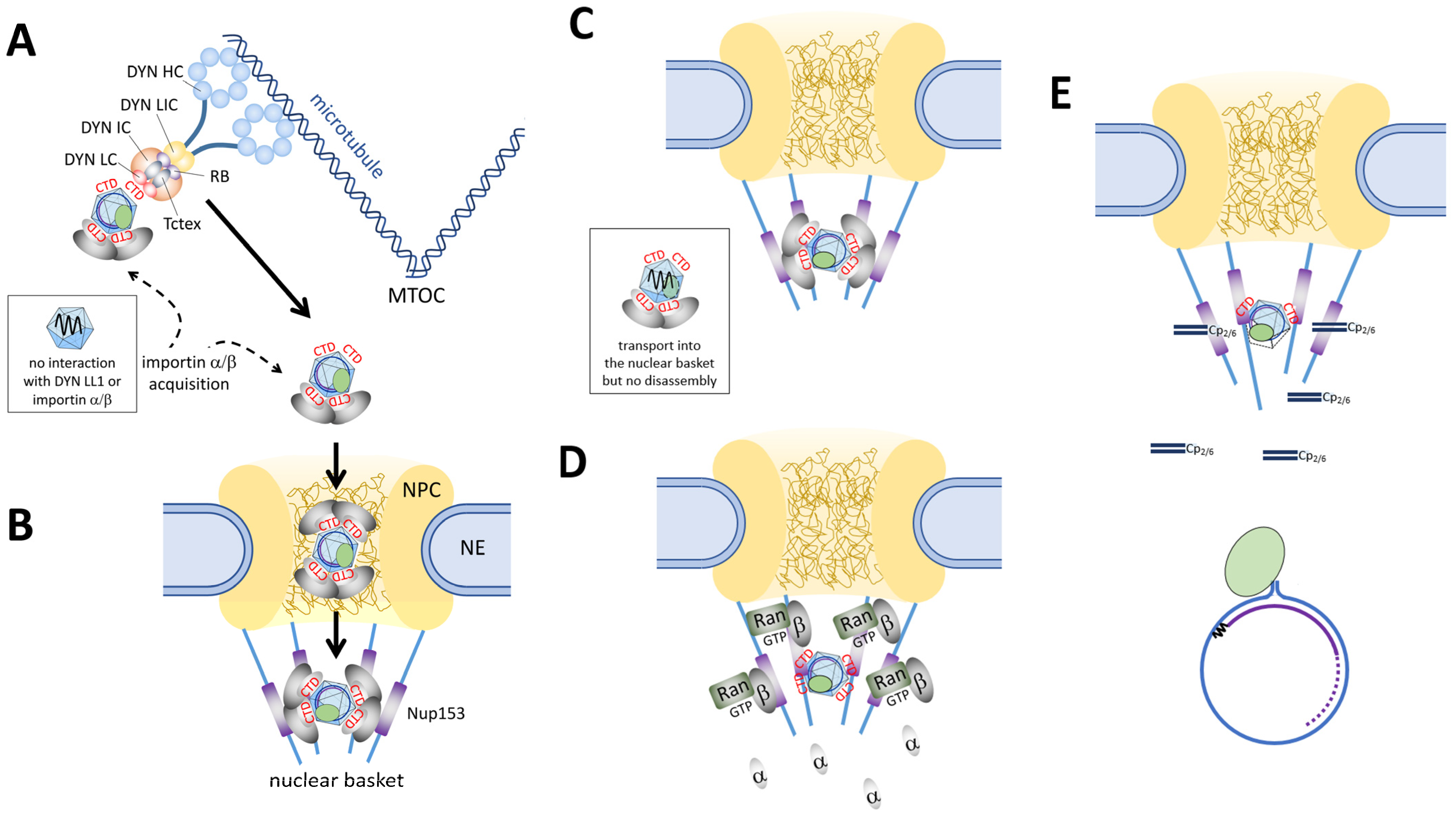Microorganisms 13 00157 g004
