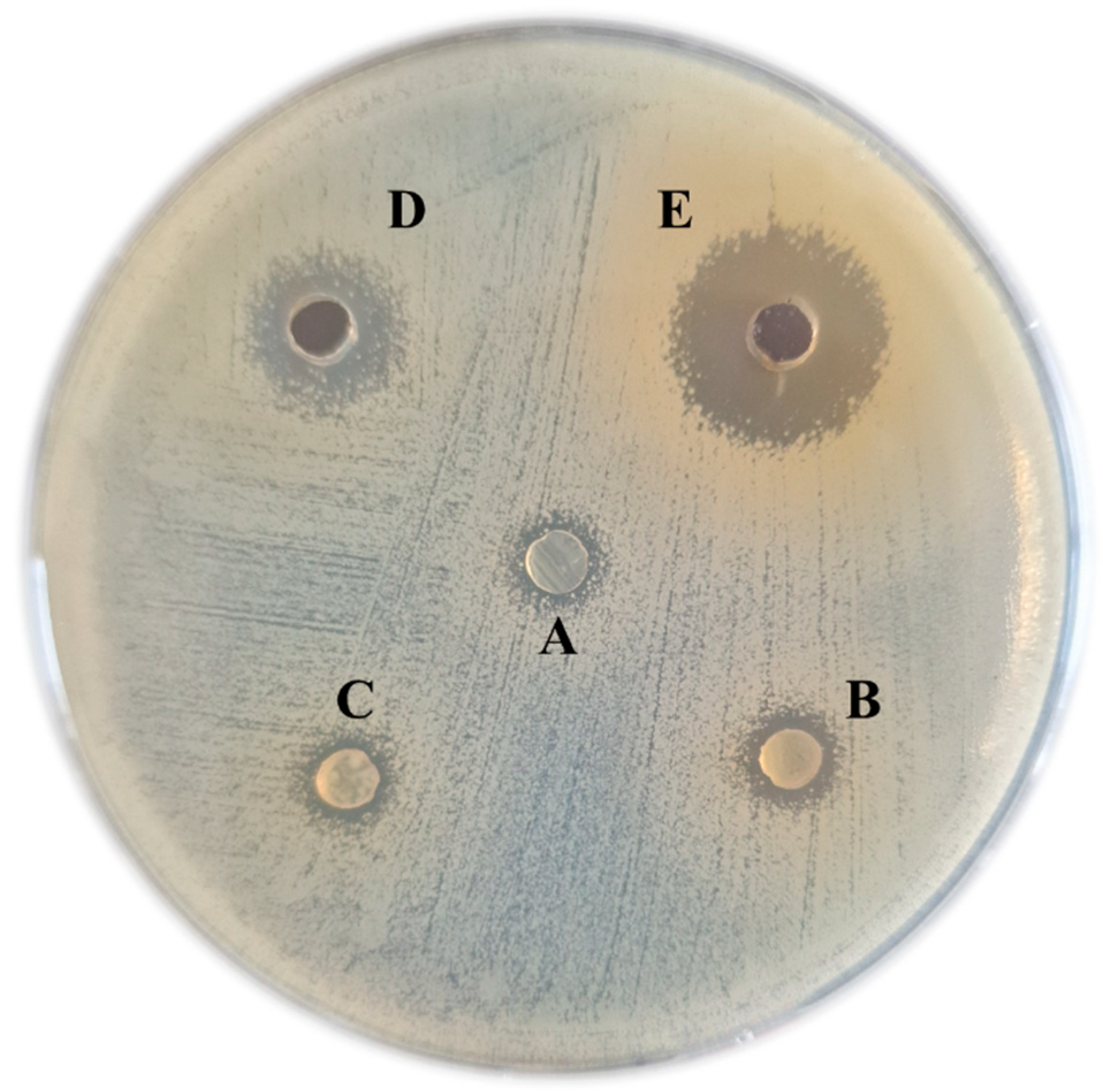 Microorganisms 13 00160 g004 Microorganisms 13 00160 g004