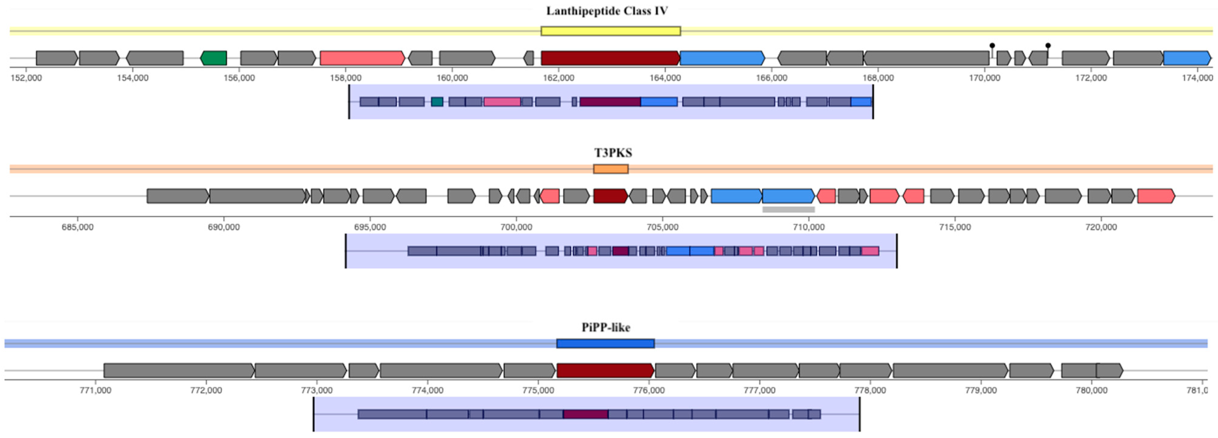 Microorganisms 13 00160 g007 Microorganisms 13 00160 g007