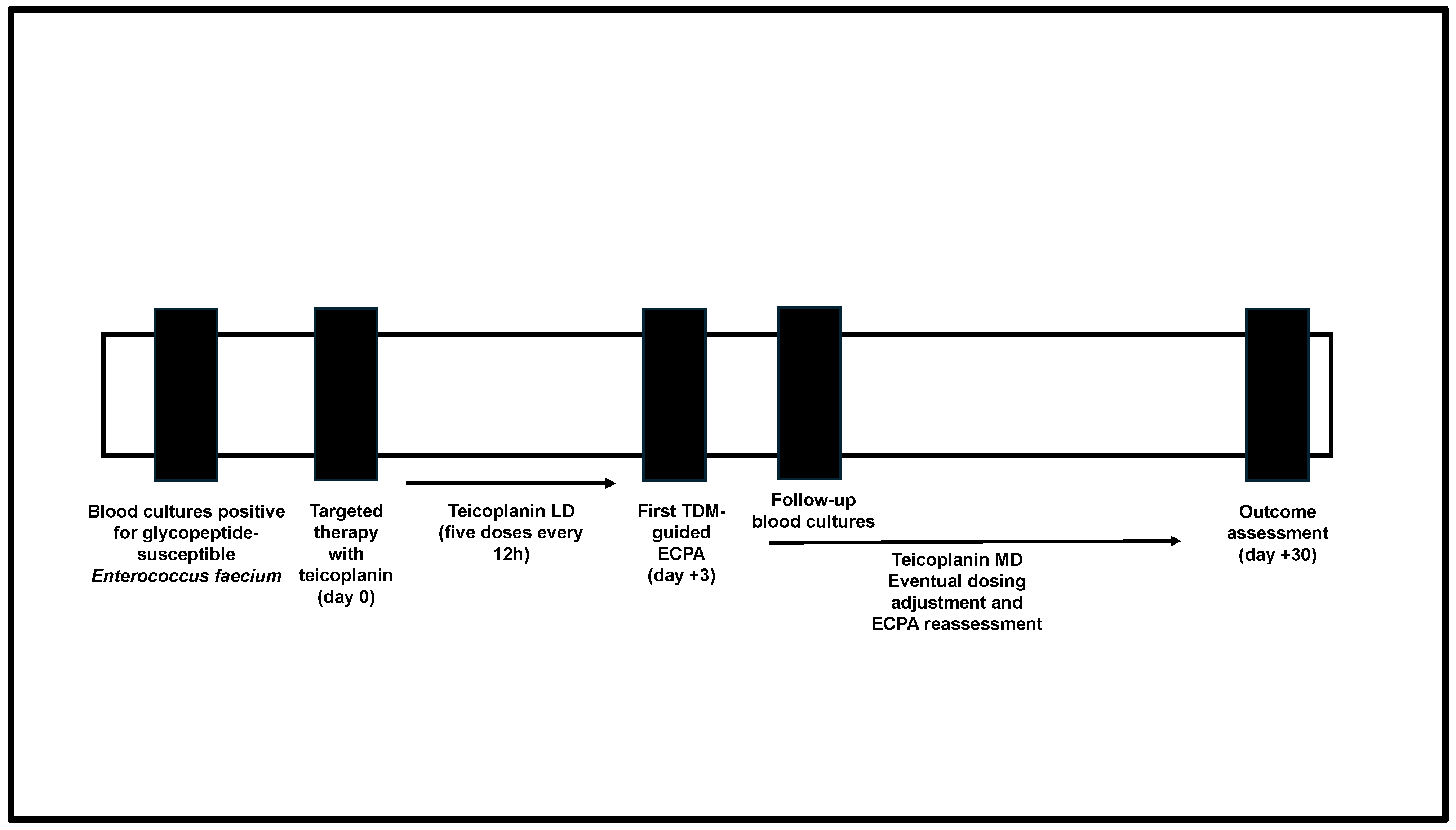 Microorganisms 13 00162 g001