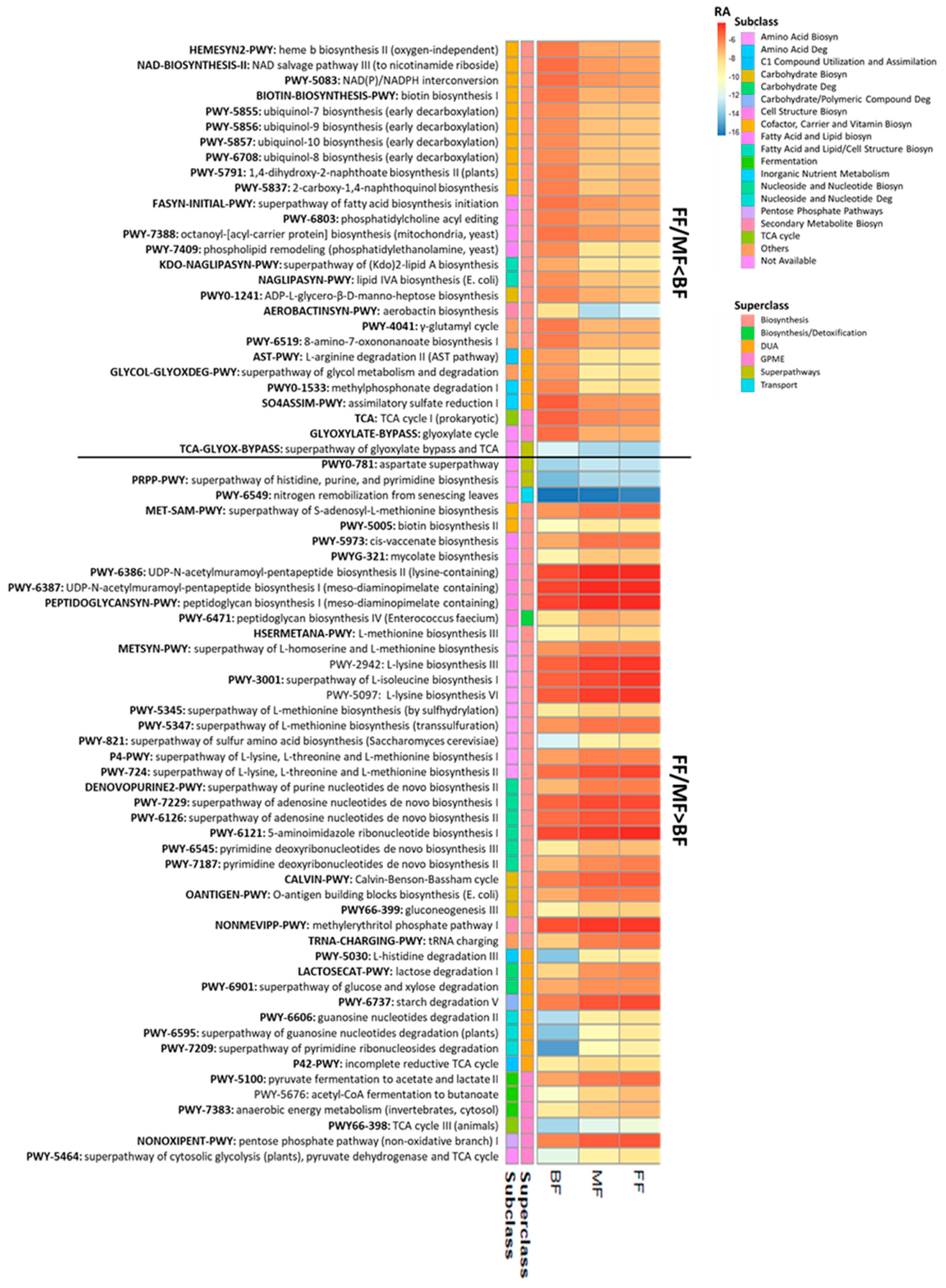 Microorganisms 13 00166 g004