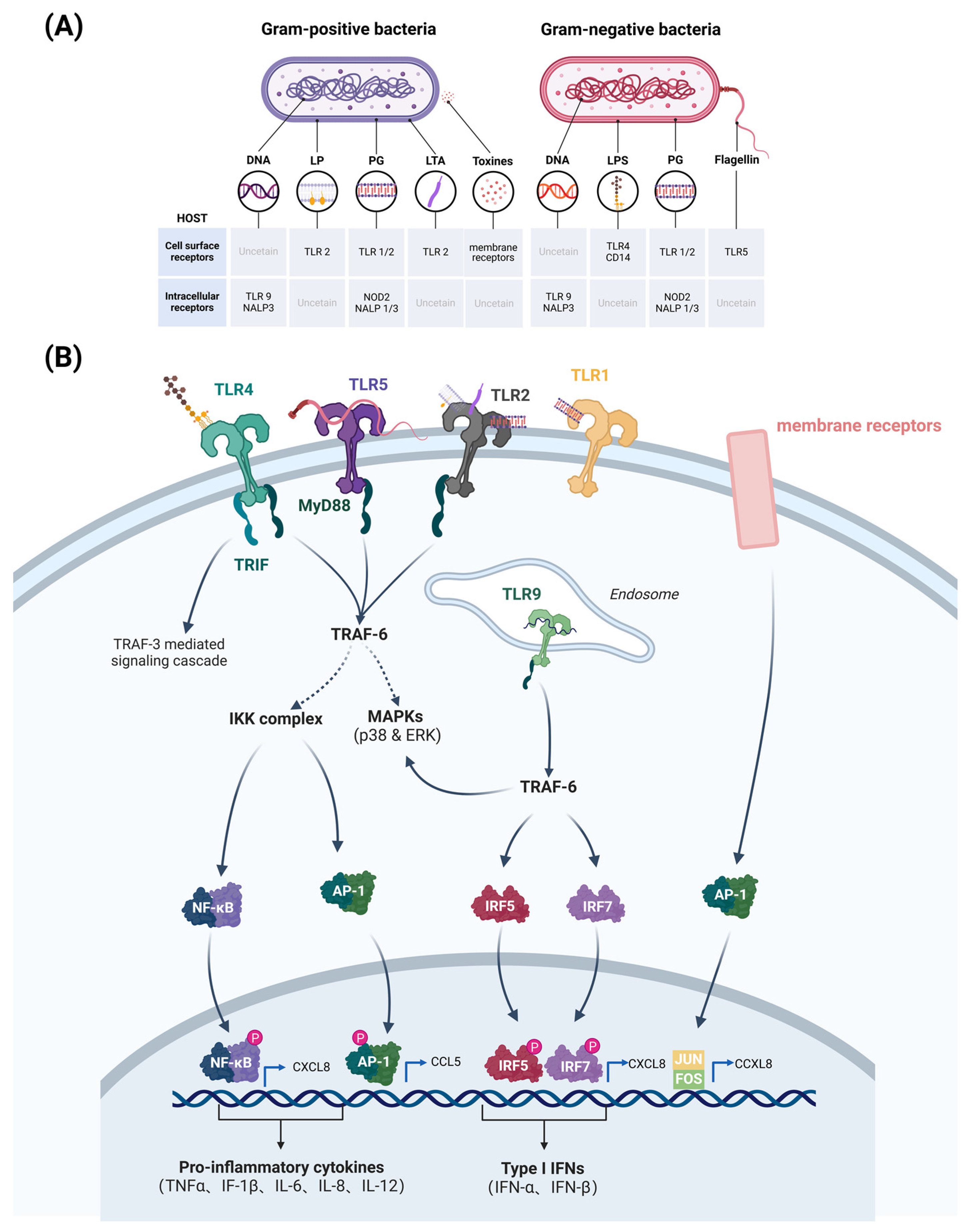 Microorganisms 13 00167 g002 Microorganisms 13 00167 g002
