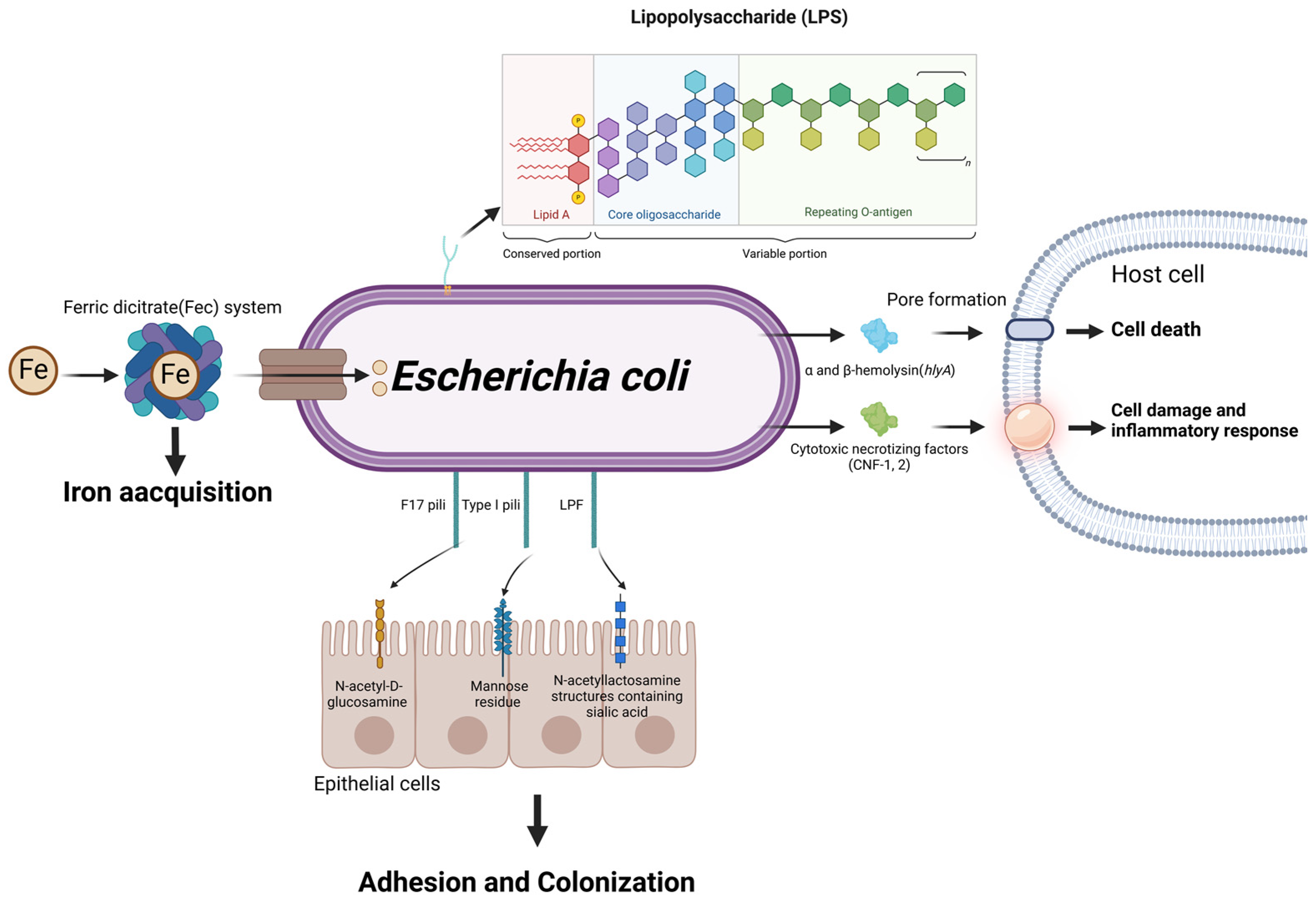 Microorganisms 13 00167 g006 Microorganisms 13 00167 g006
