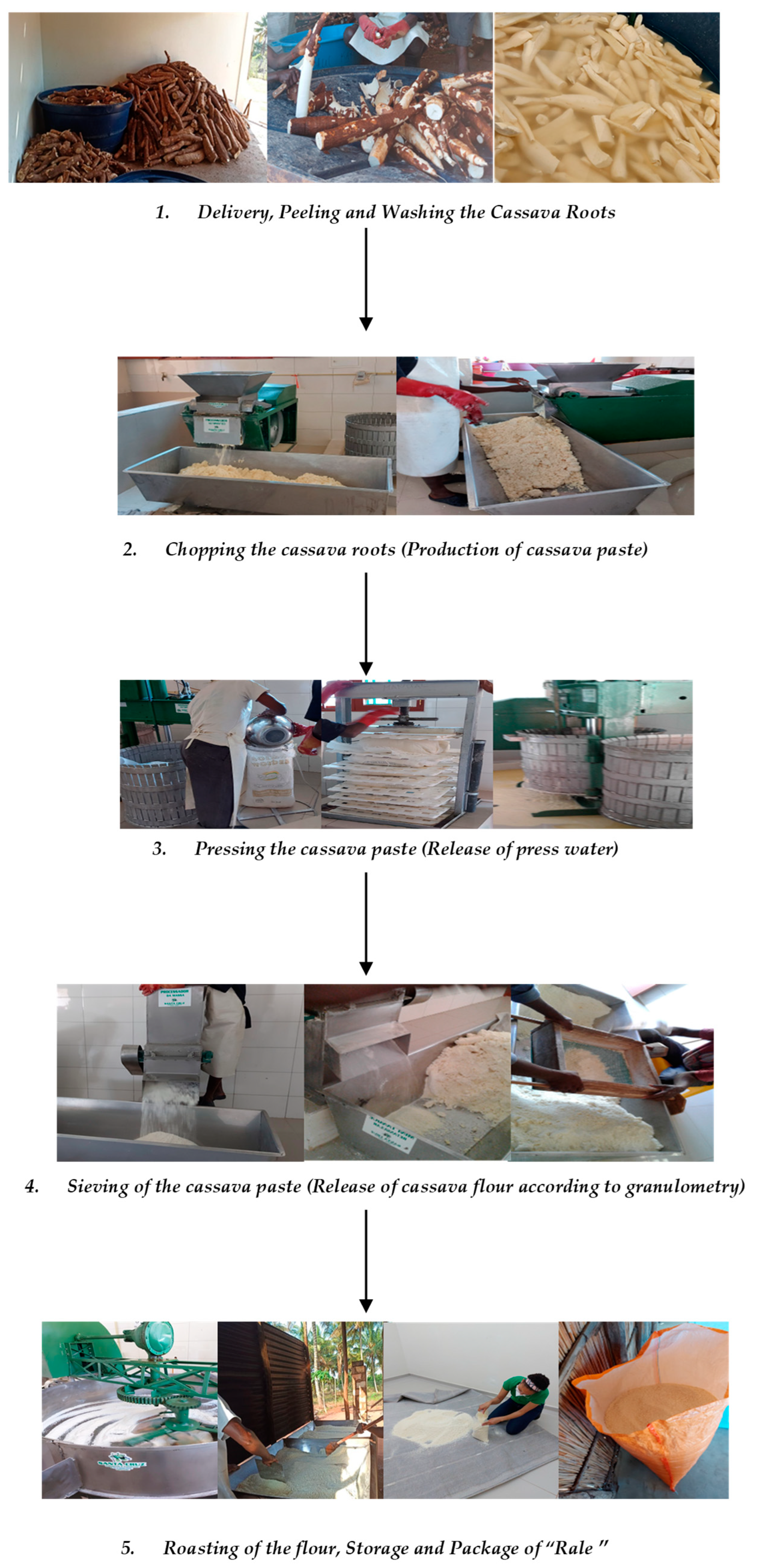 Microorganisms 13 00168 g001