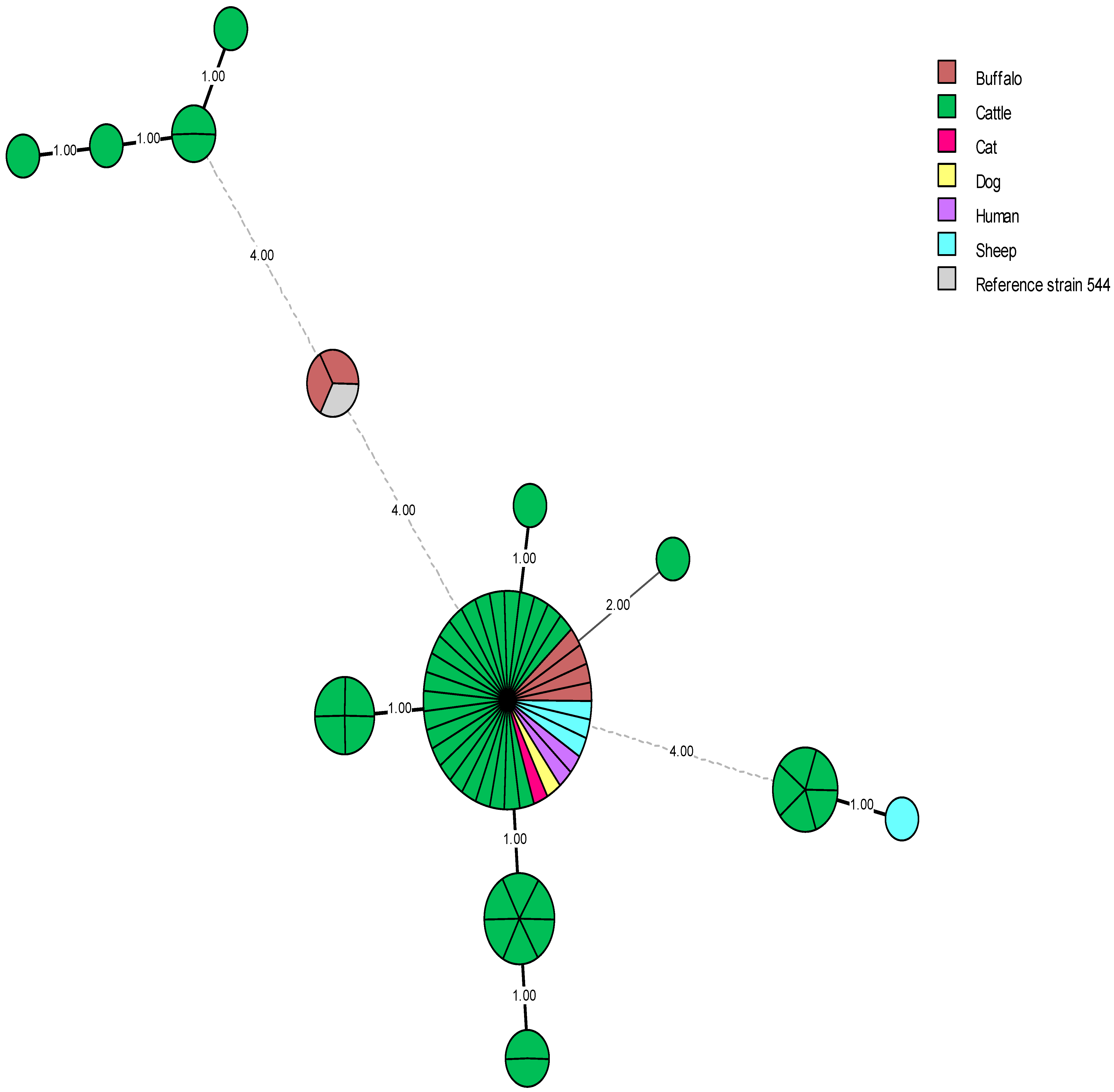Microorganisms 13 00170 g007