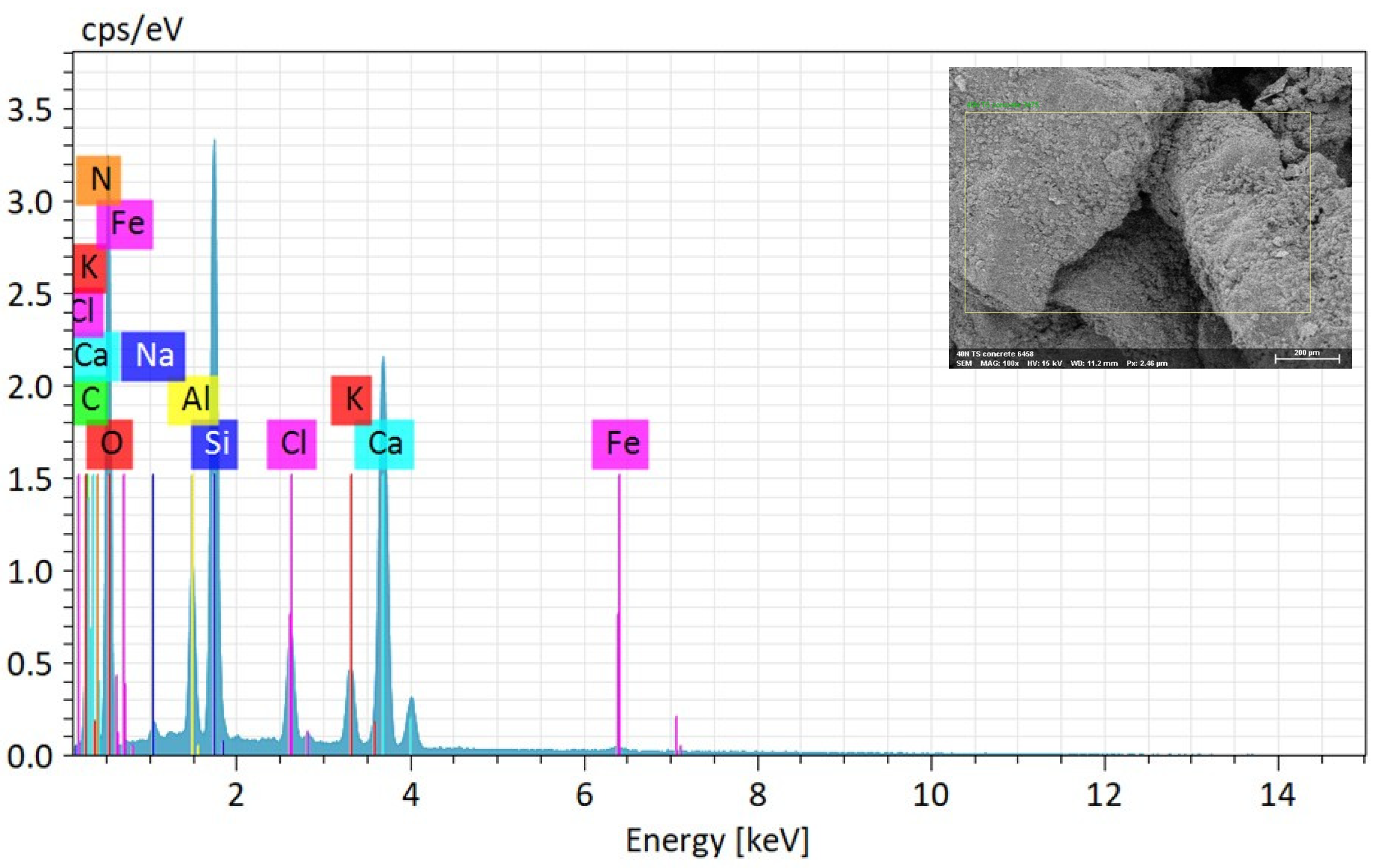 Microorganisms 13 00174 g007