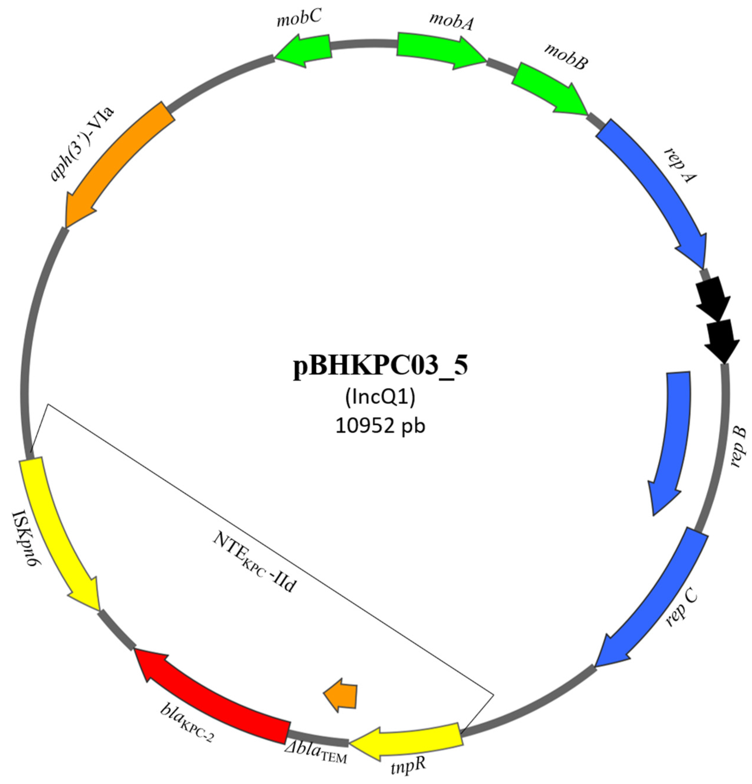 Microorganisms 13 00180 g001